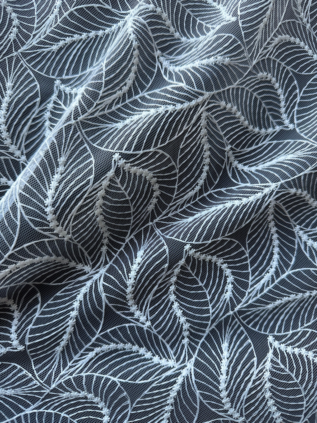 Dentelle Raschel ivoire - Senorita