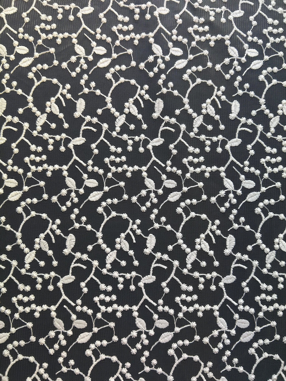 Dentelle Brodée Ivoire - Sierra