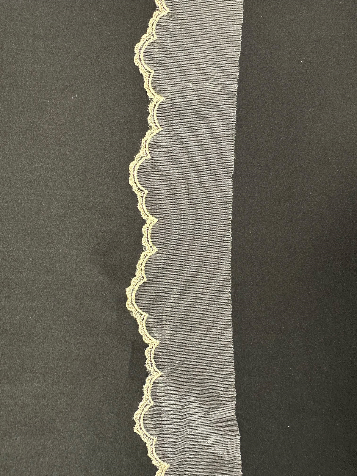 Ivoire avec bordure en dentelle brodée champagne foncé - T202