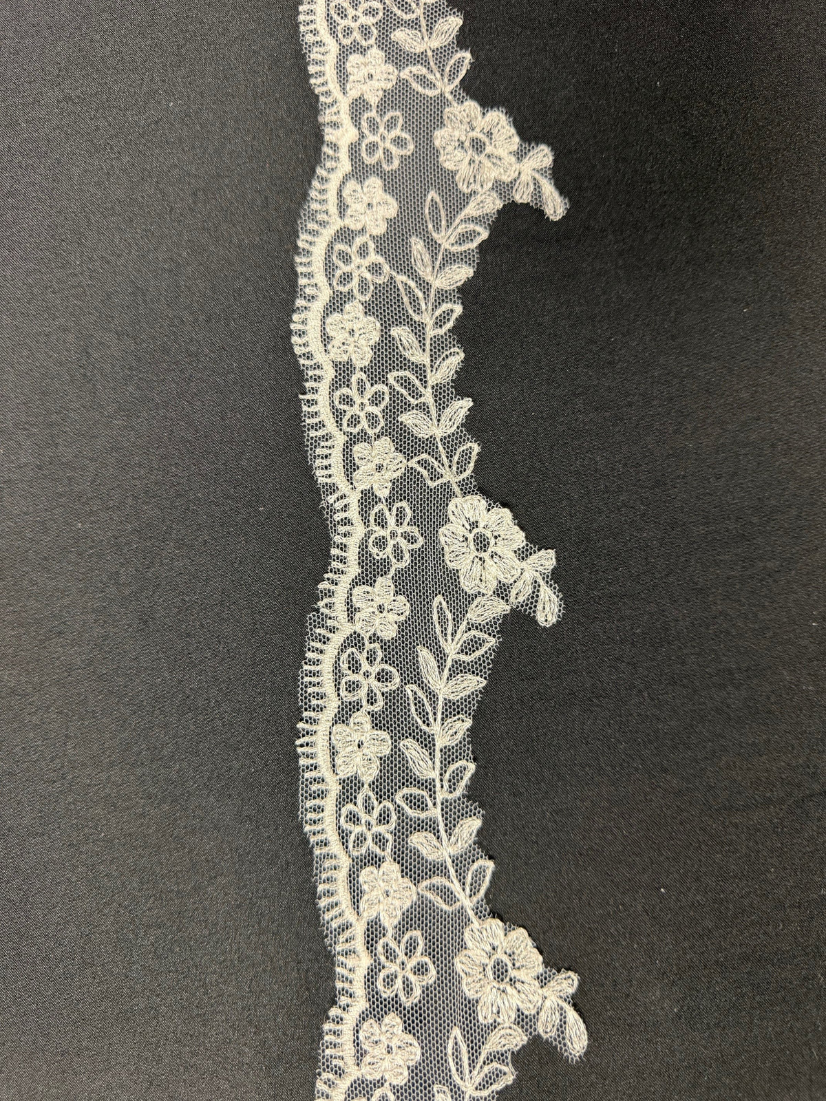 Bordure en dentelle brodée ivoire - T53