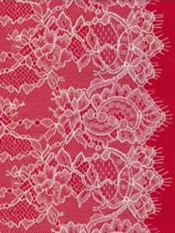 Bordure en dentelle vanille - T807