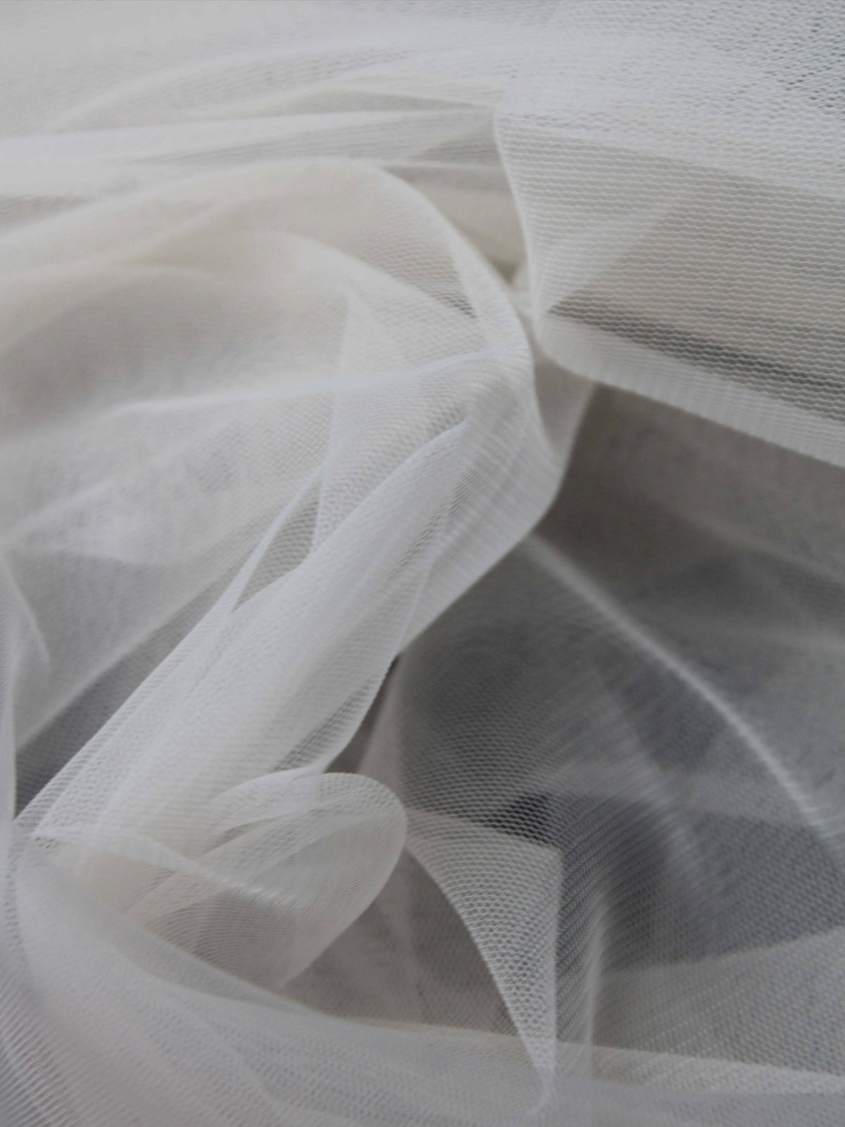 Coquillage (61) Tulle - TU0031