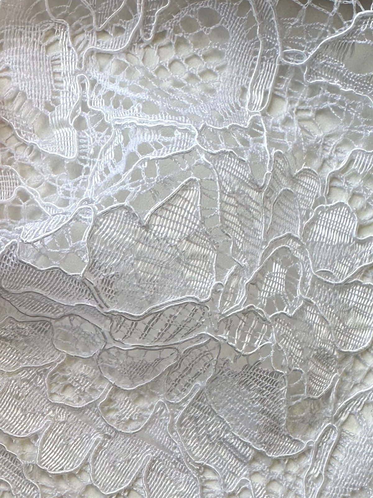 Dentelle blanche cordée - Tocca