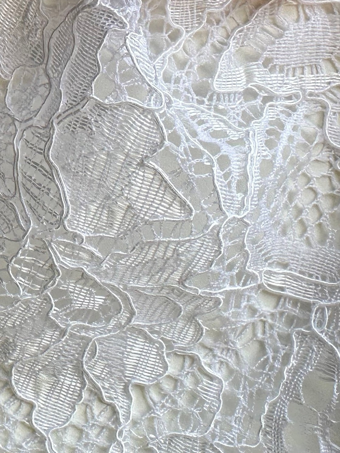 Dentelle blanche cordée - Tocca