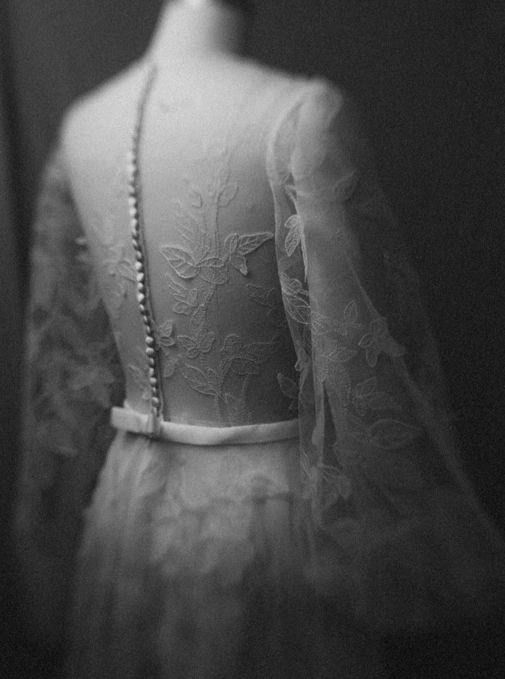 Dentelle Brodée Ivoire - Alhambra