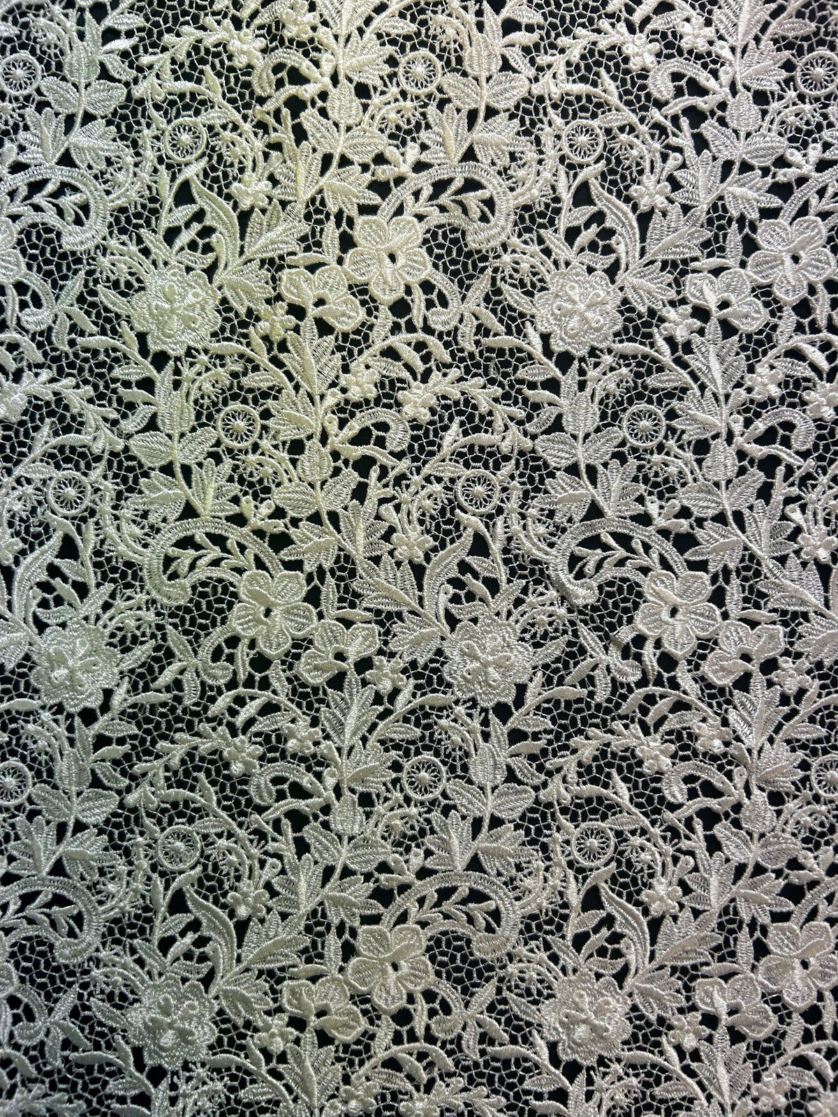 Dentelle Guipure Ivoire - Bertha