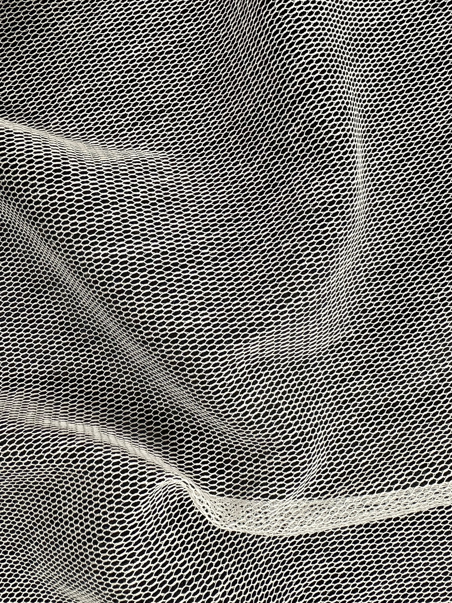 Ivory Cotton Tulle - Airton