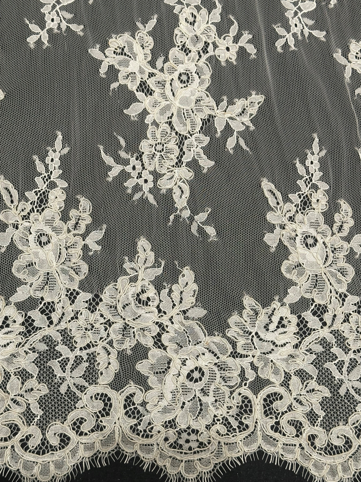 Ivory Corded Lace – Teacher