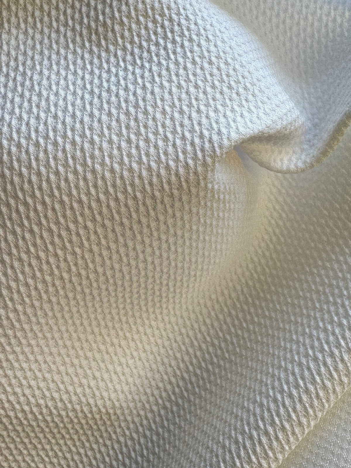 Texture Jacquard Ivoire - Homogénéité