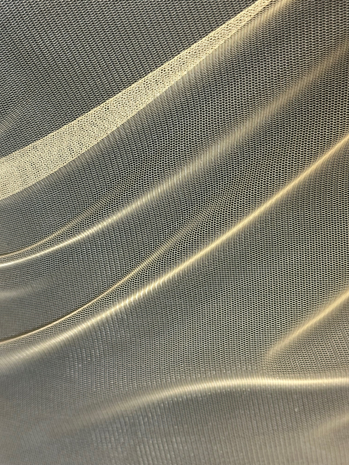 Tulle Doré - Carnival