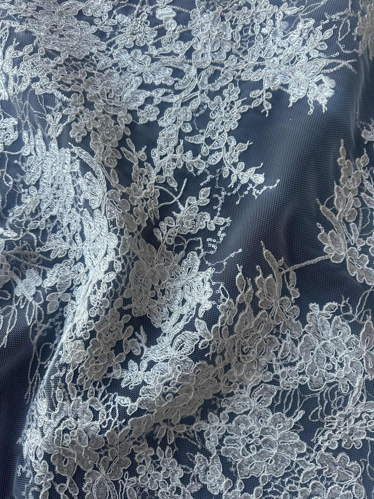 Ivoire avec dentelle brodée argent - Hermitage