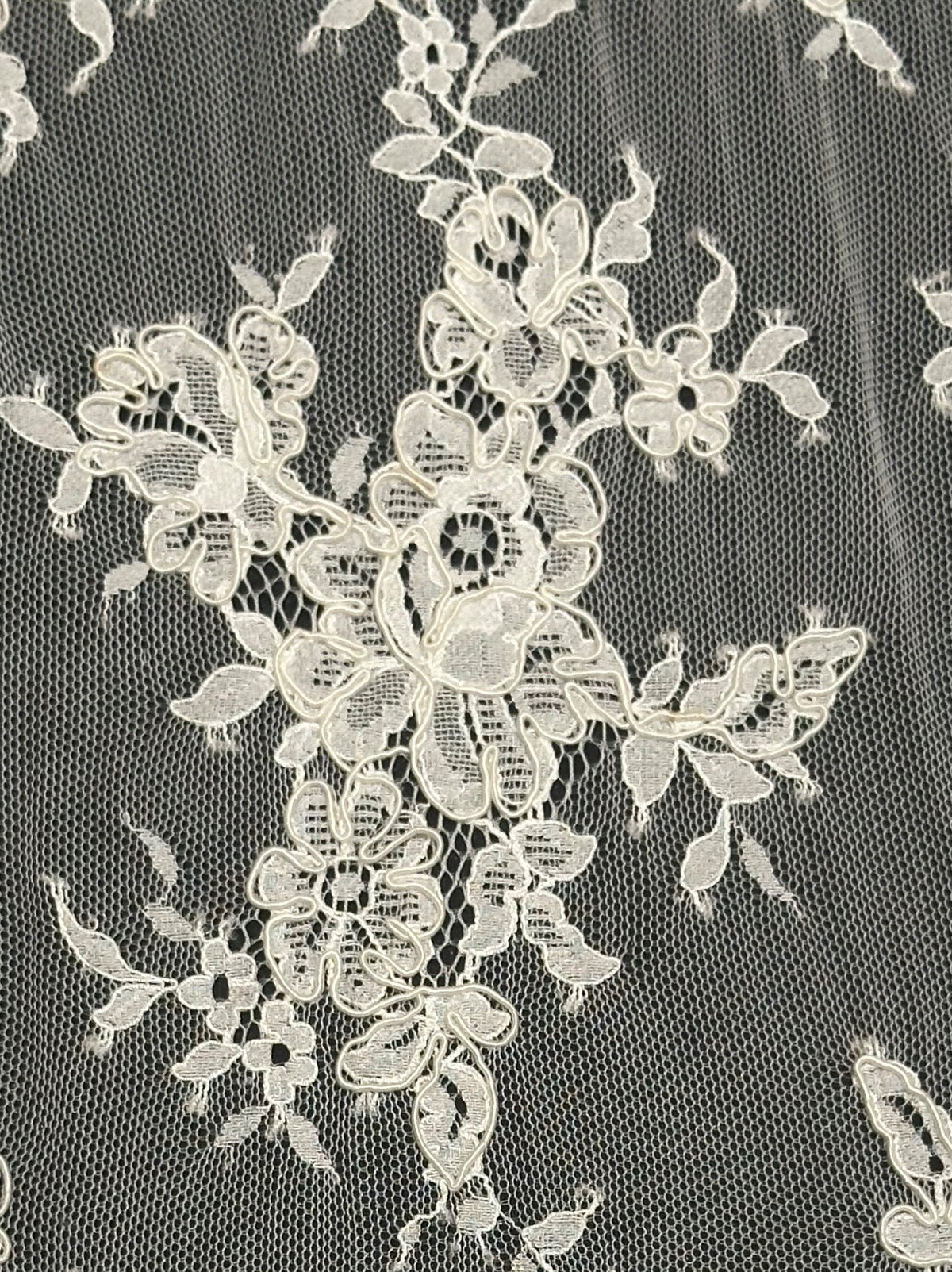 Ivory Corded Lace – Teacher