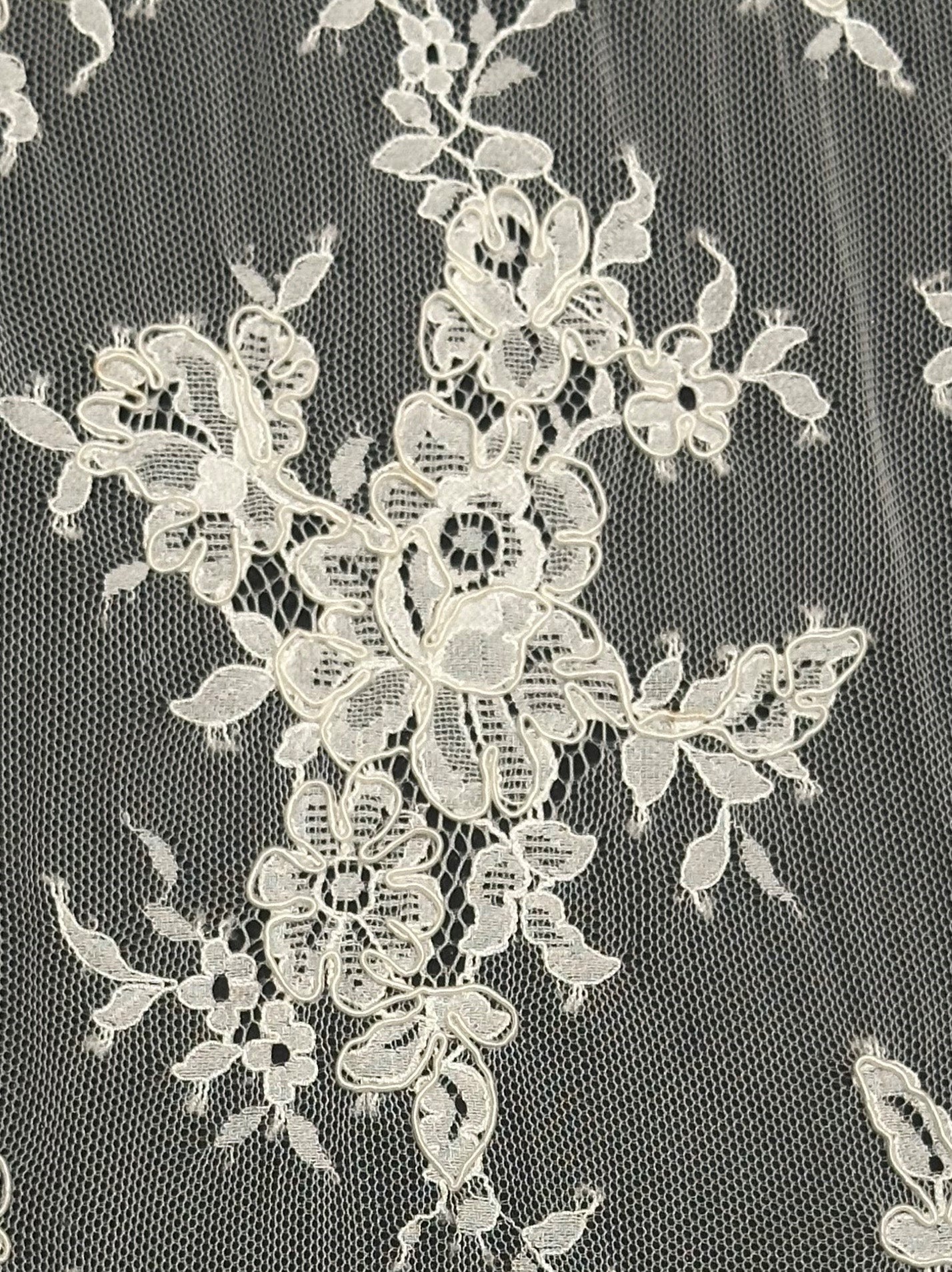 Ivory Corded Lace – Teacher