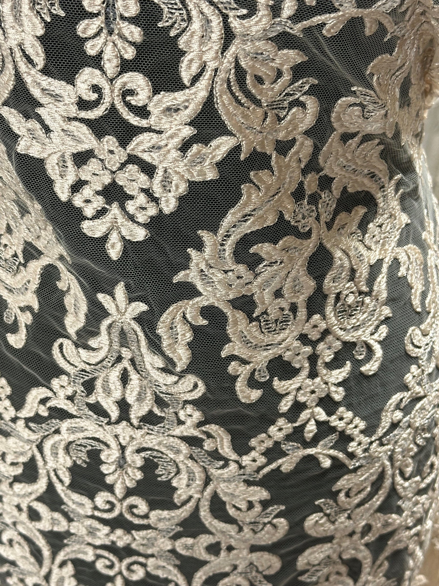 Dentelle Broderie Paillettes Champagne - Albany