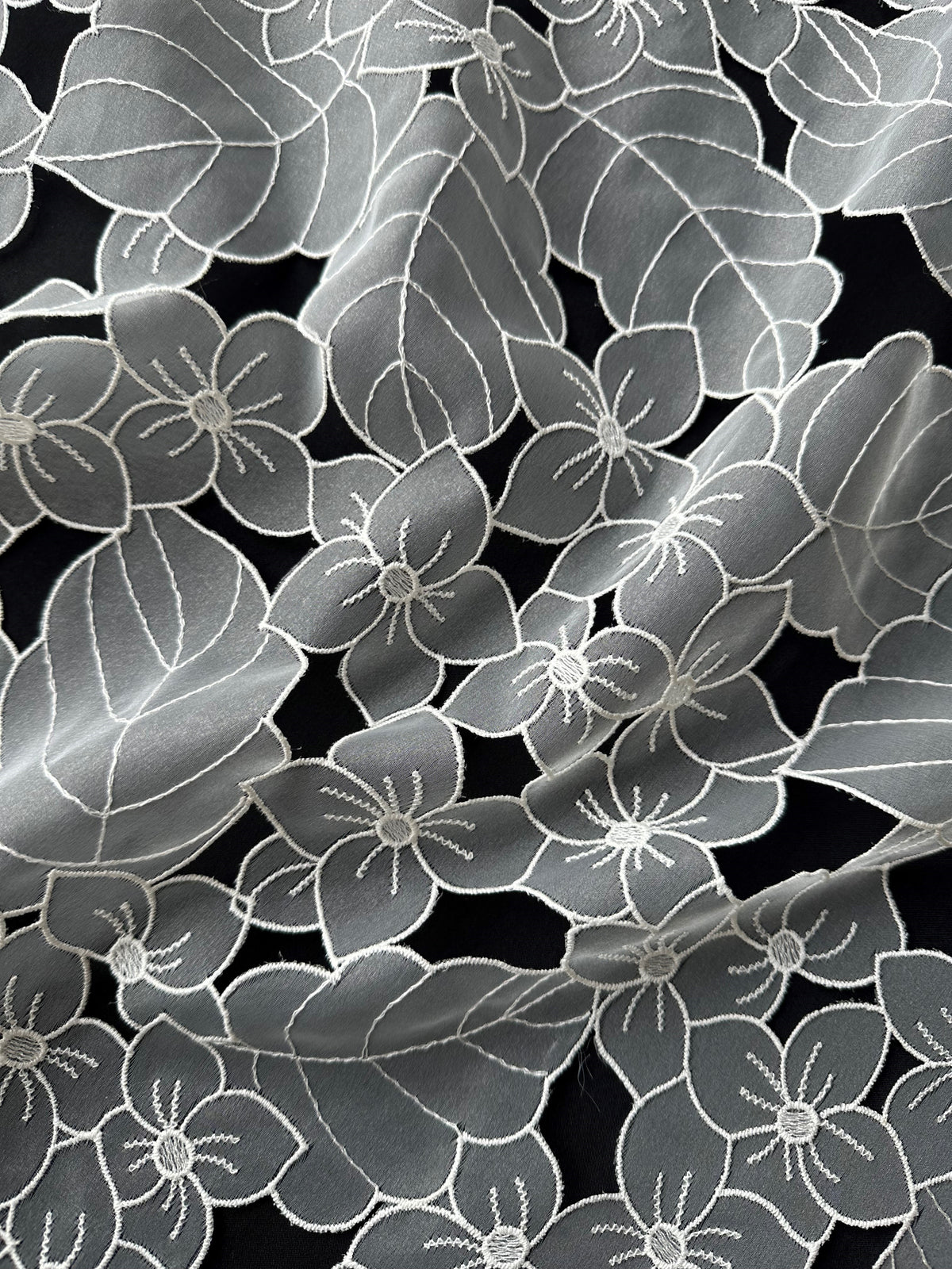 Dentelle organza ivoire - Capacité