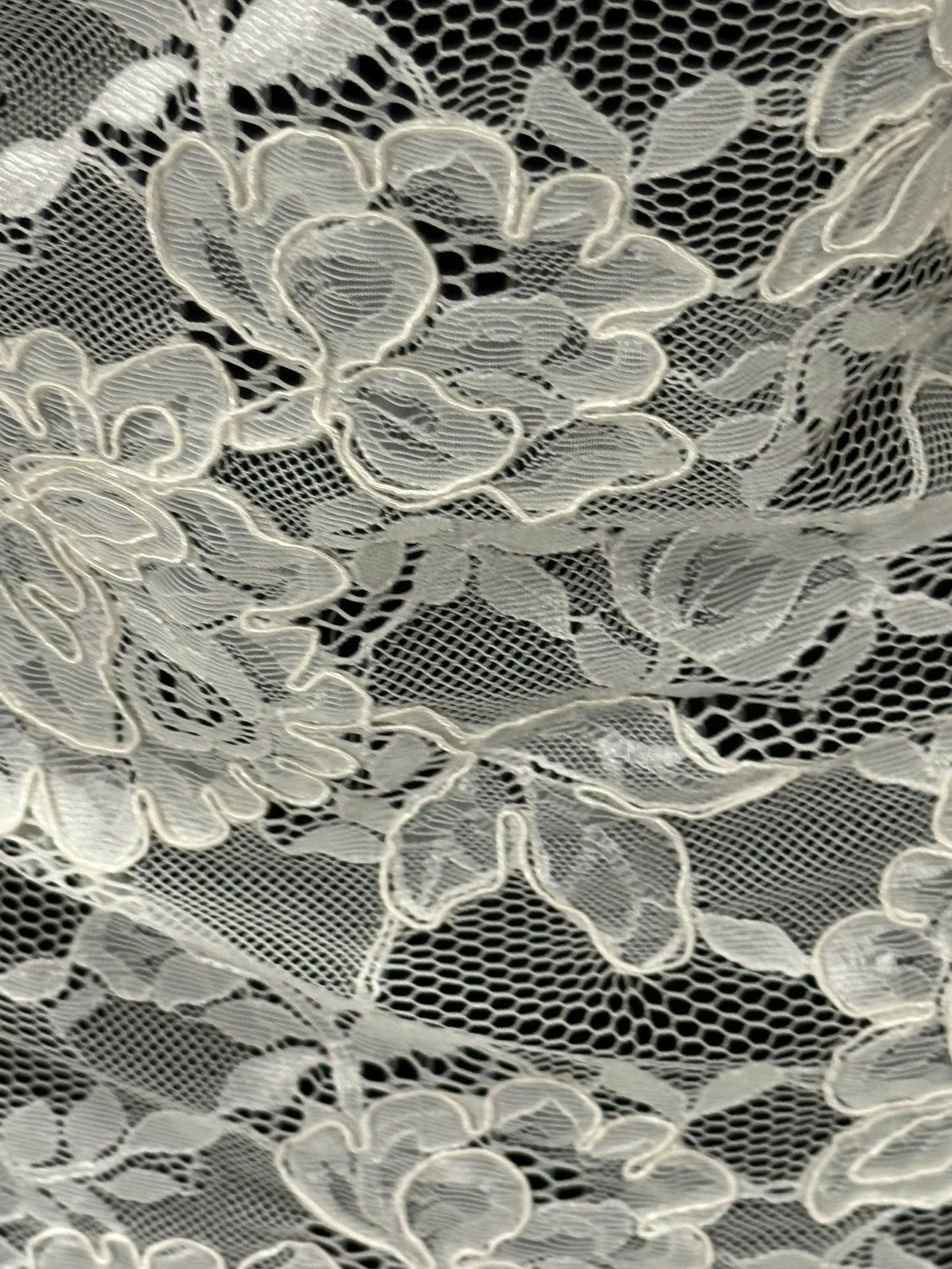 Dentelle cordée ivoire - P213