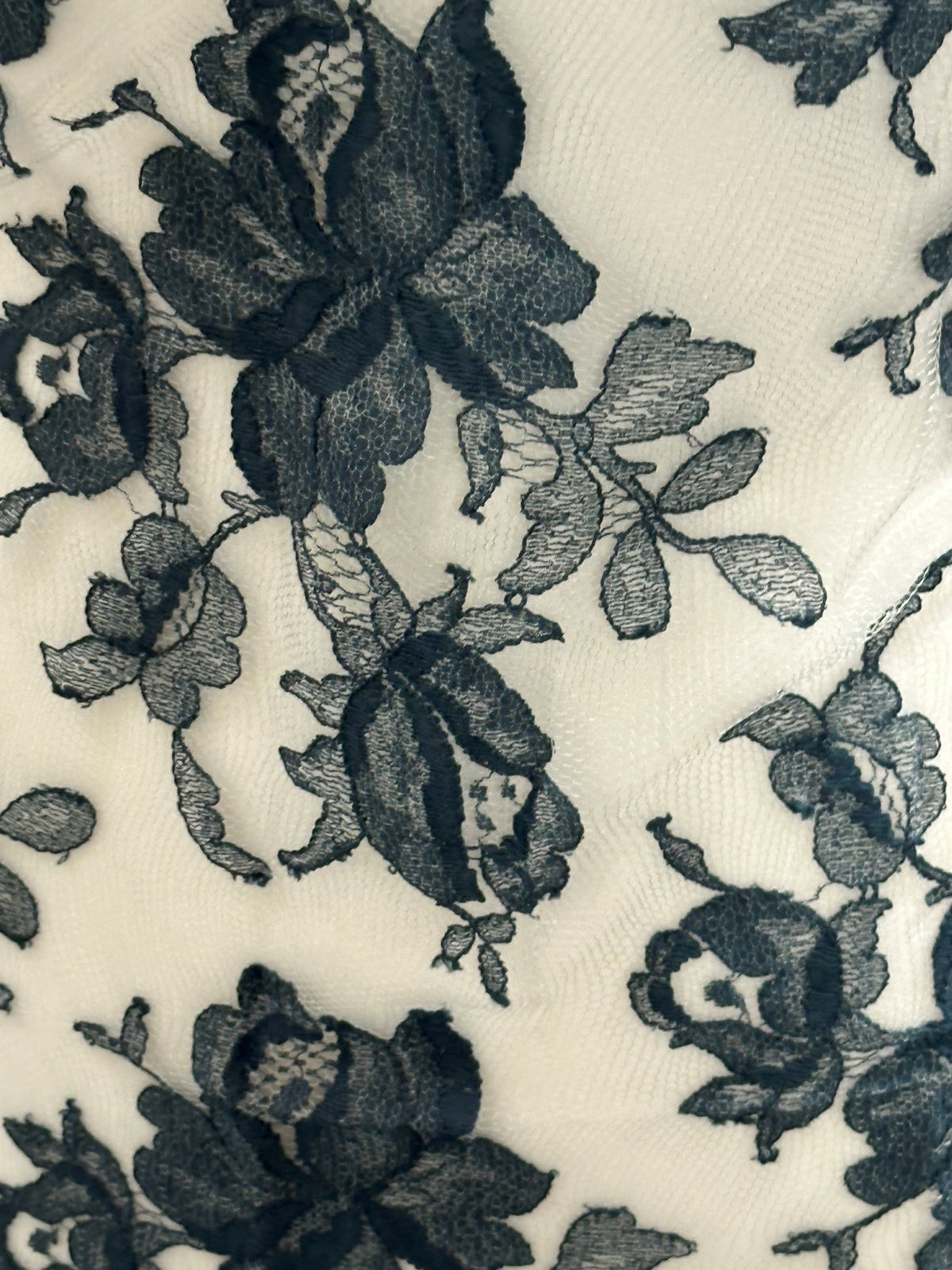 Dentelle Bleu Français - Harper.