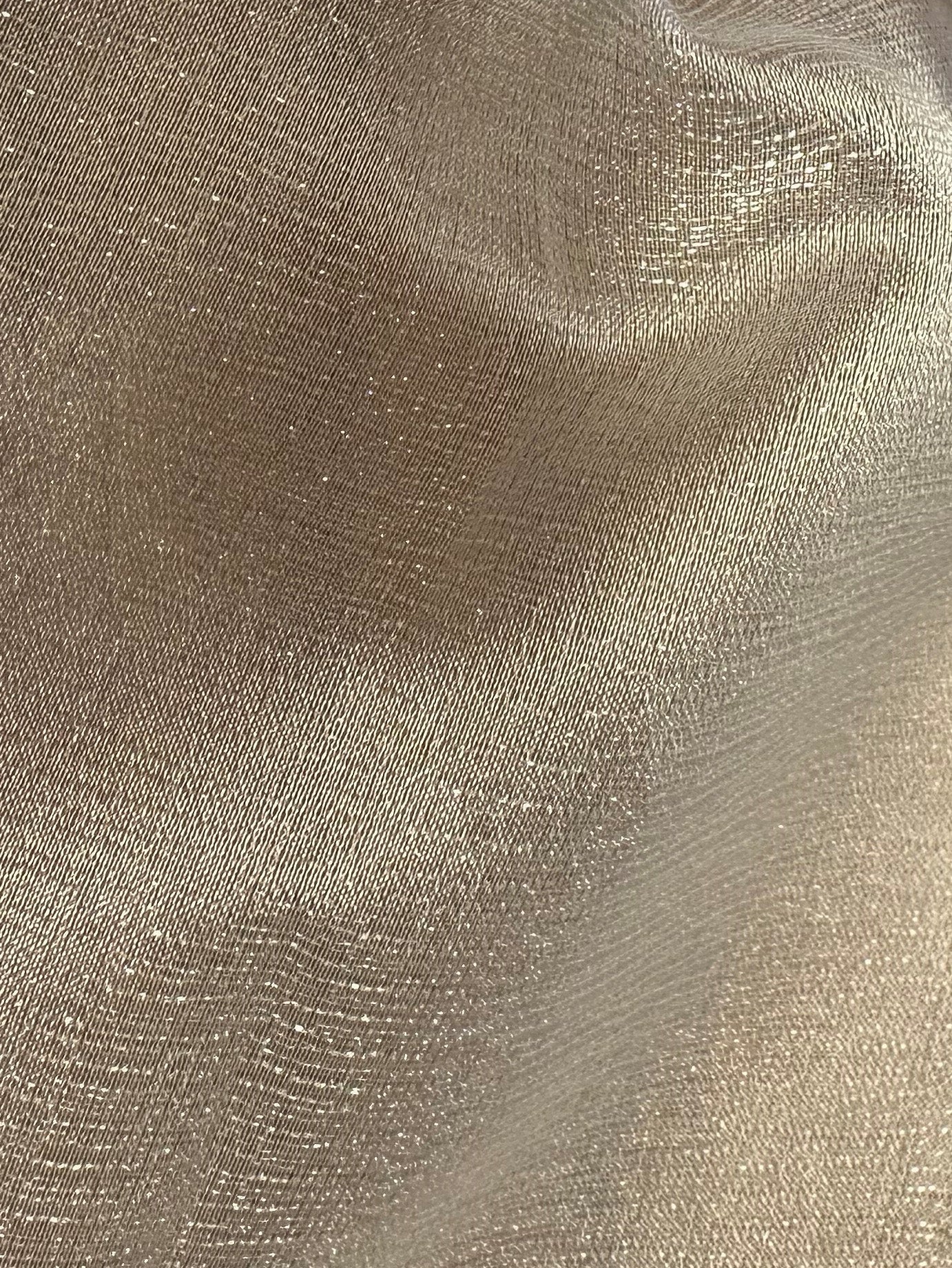 Organdi en polyester ivoire - Jocularity