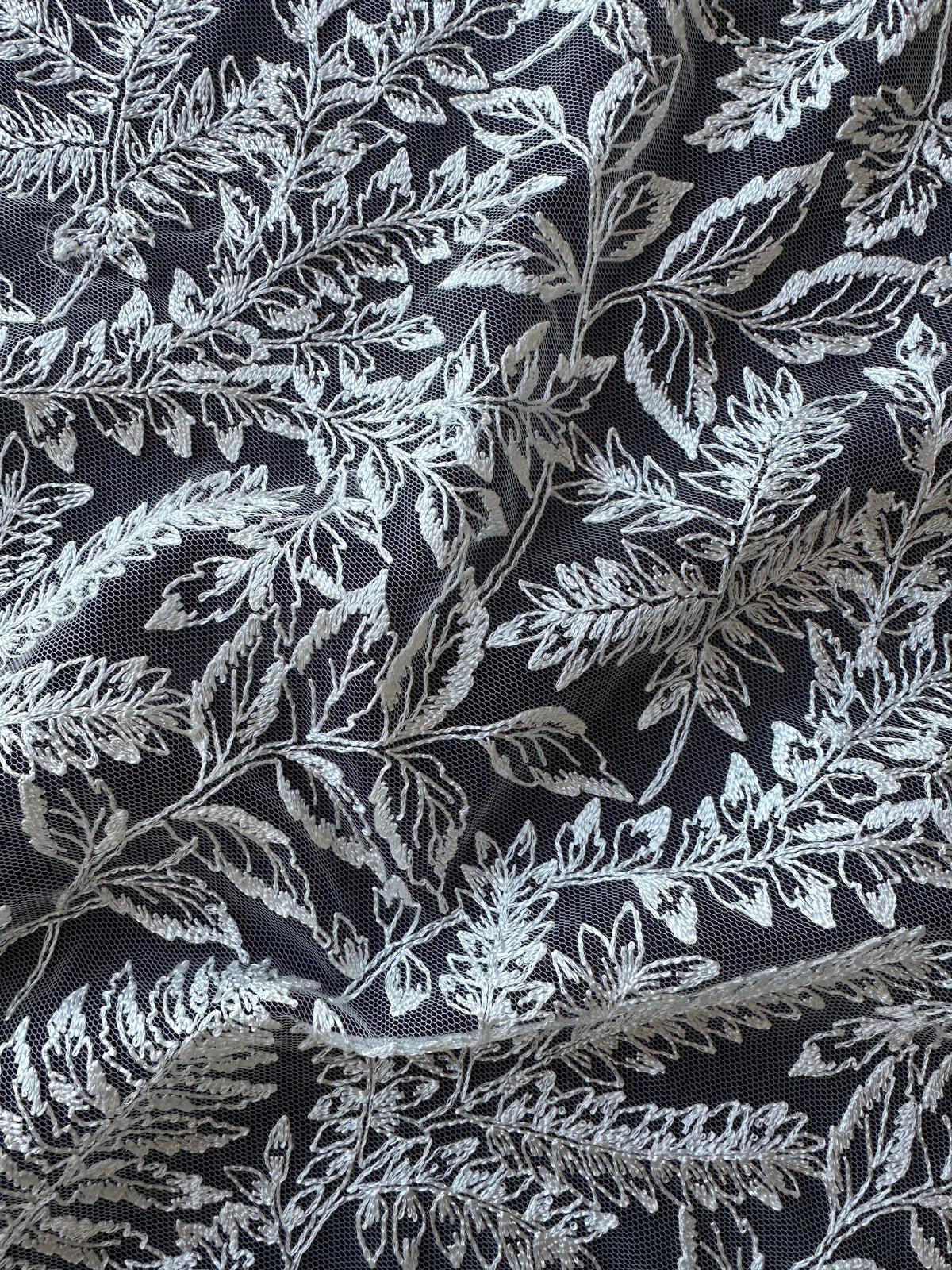 Dentelle brodée ivoire - Zulu