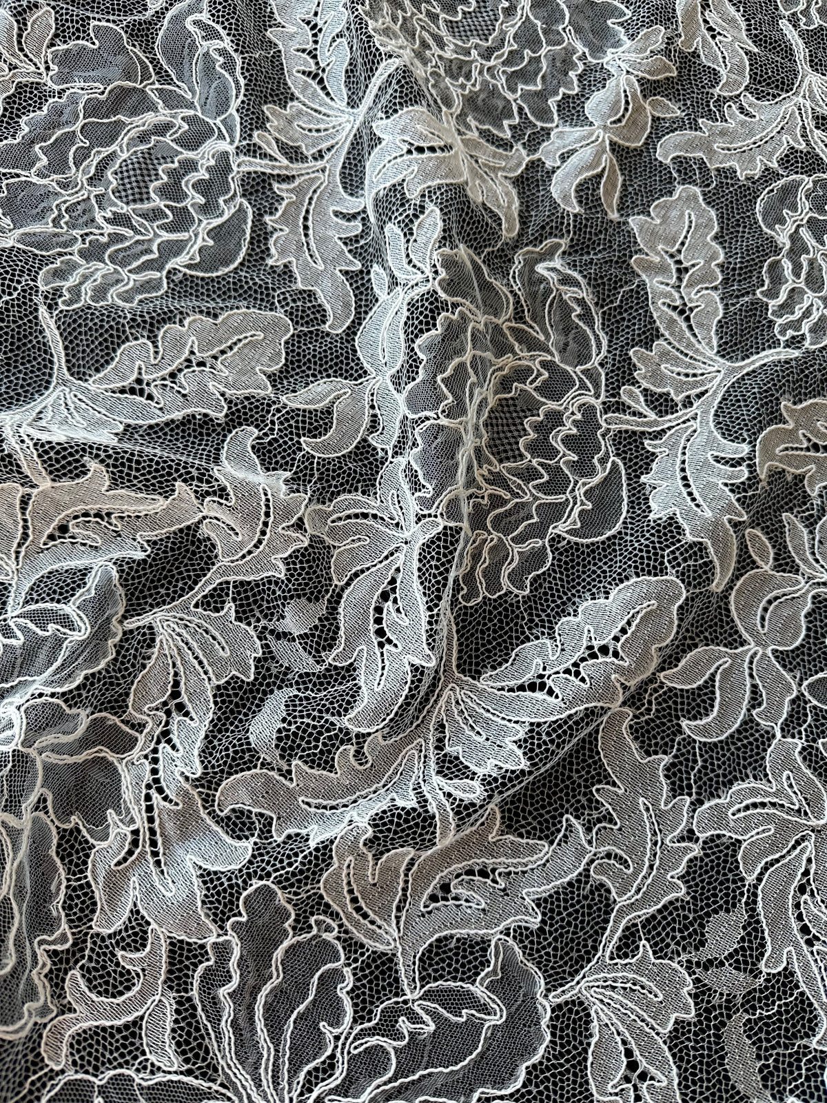 Dentelle Chantilly ivoire à cordons - Terri