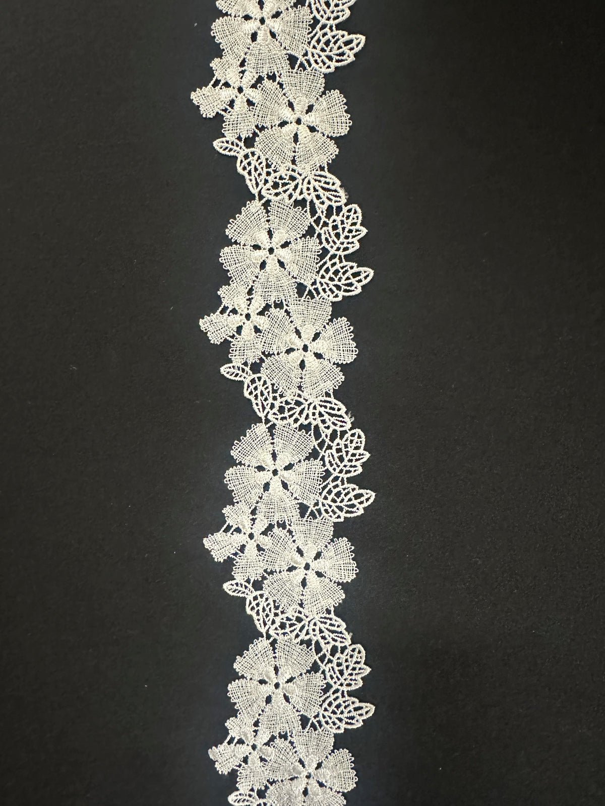 Bordure en Dentelle Ivoire - Elm