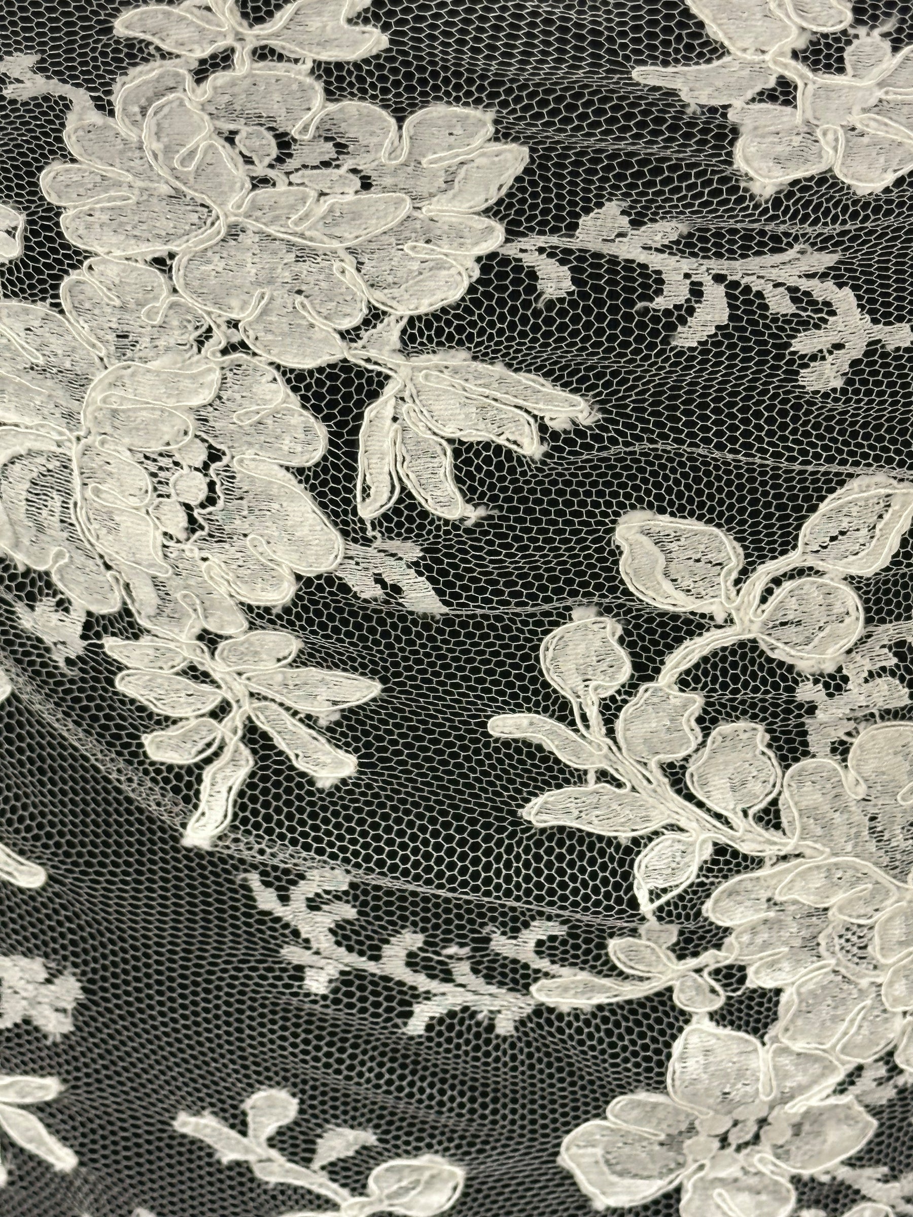 Dentelle Chantilly ivoire à cordons - Rio