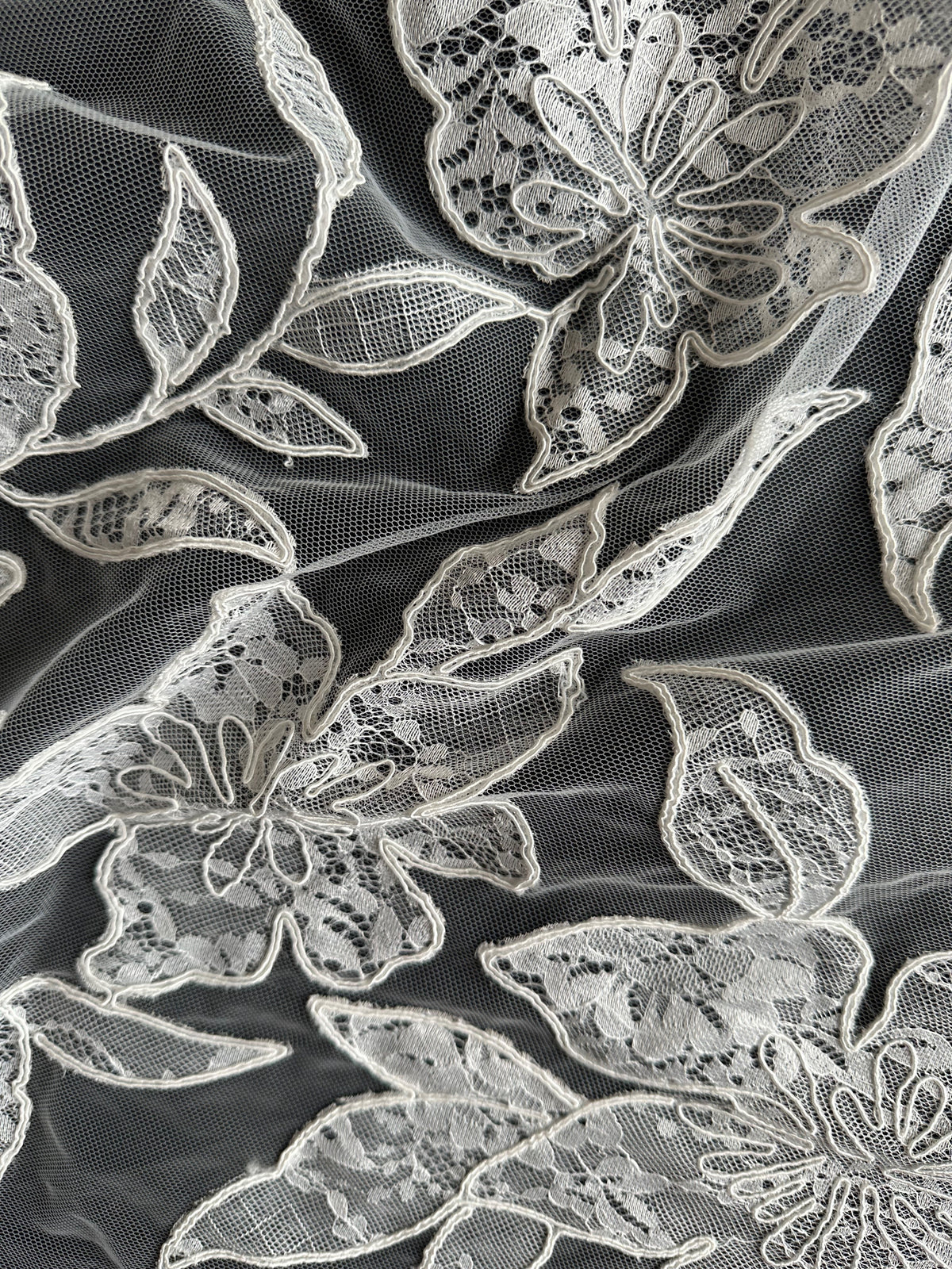 Dentelle contemporaine ivoire à cordon - Sawyer