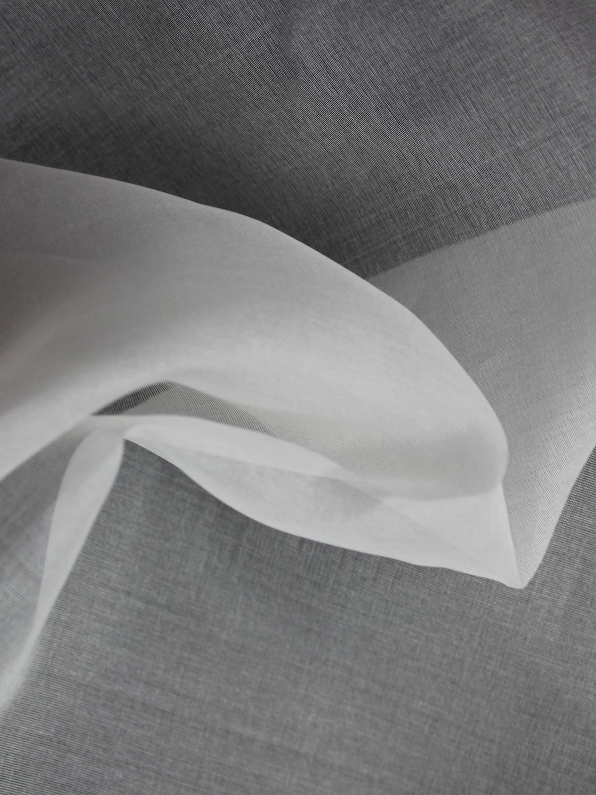 Organza de soie blanche - P769