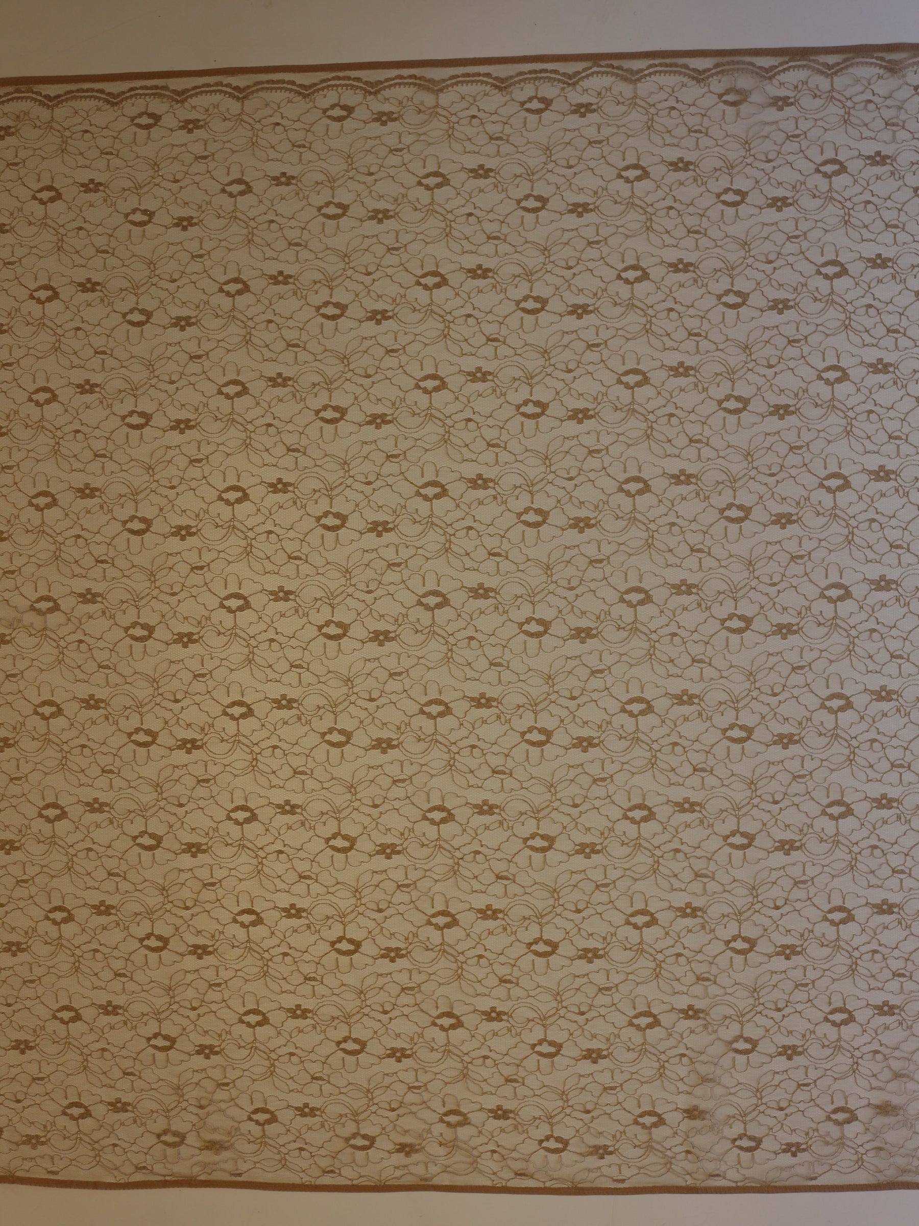 Dentelle Cordée en Cappuccino - Leanne