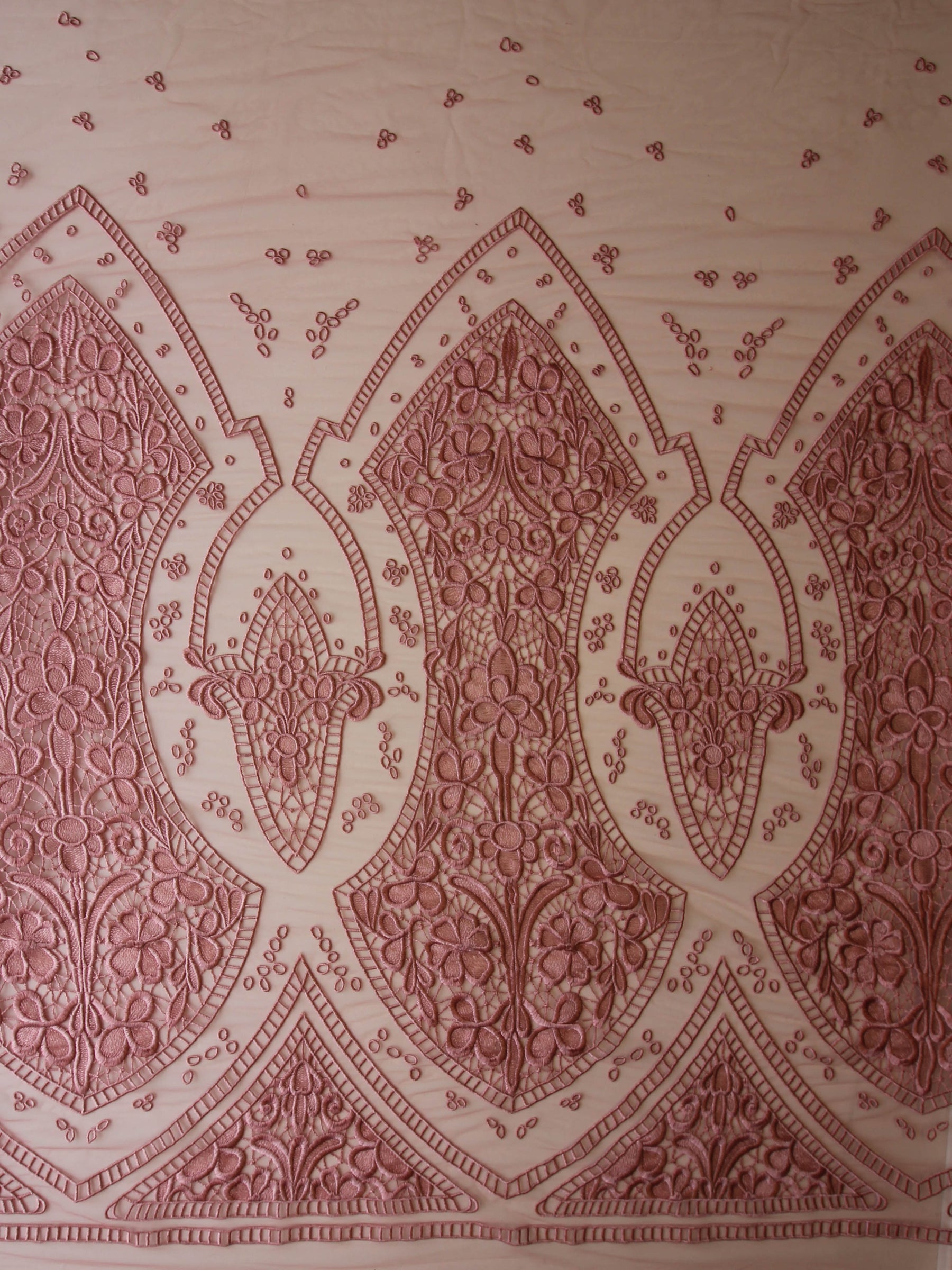 Dentelle brodée rose pâle - Nyla