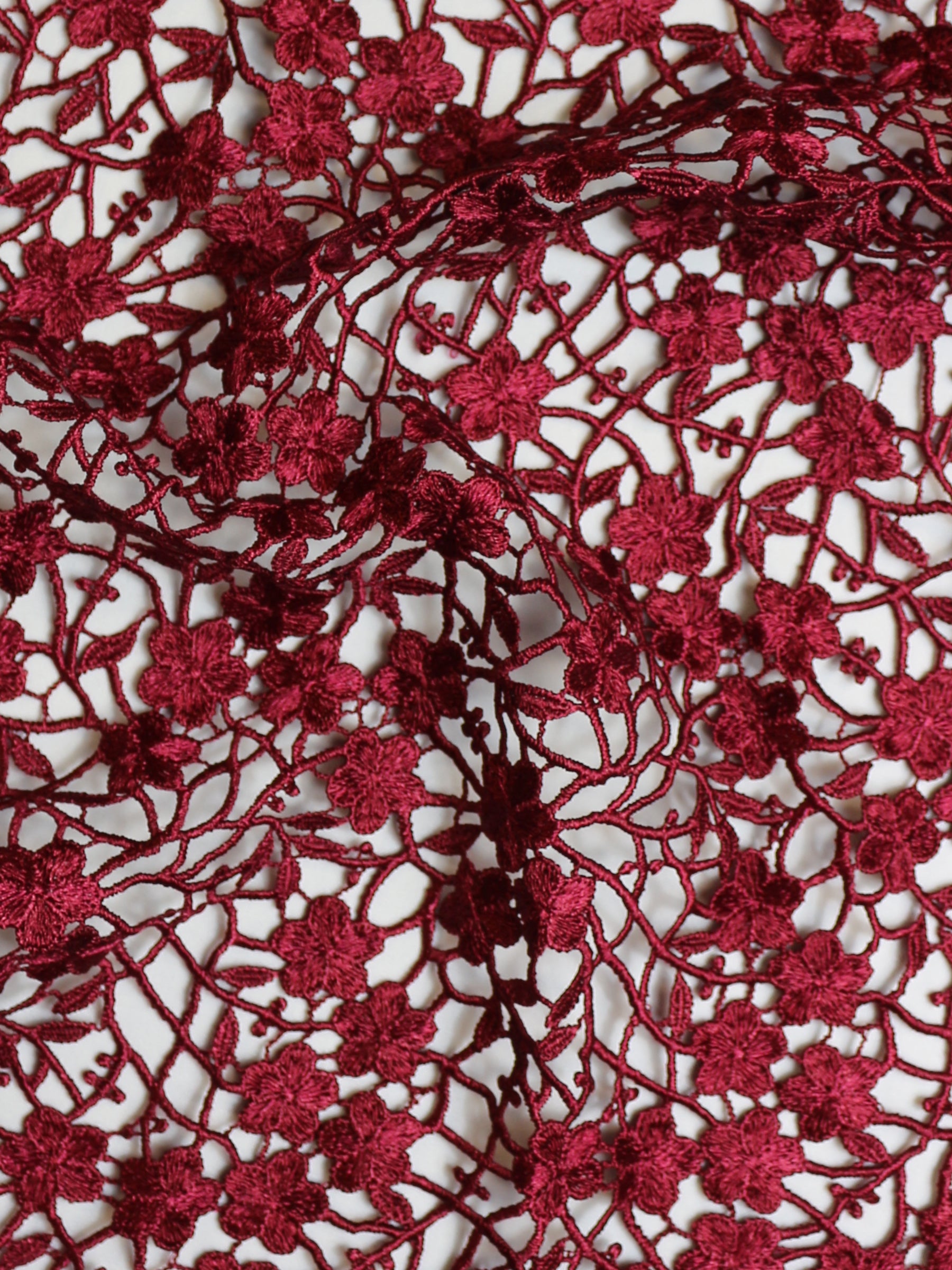 Dentelle Guipure Vin - Ebba