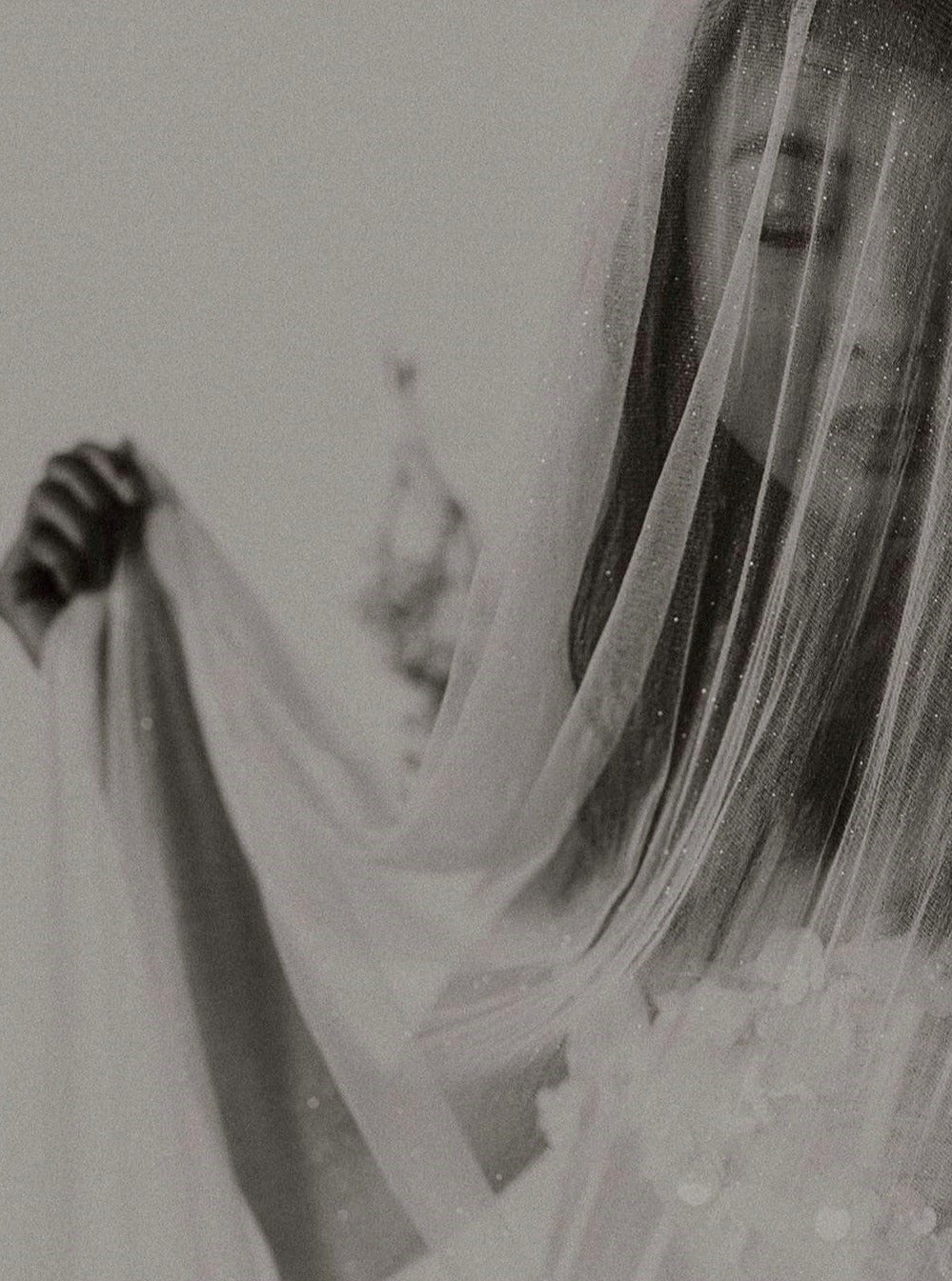 Tulle pailleté ivoire - Guirlandes