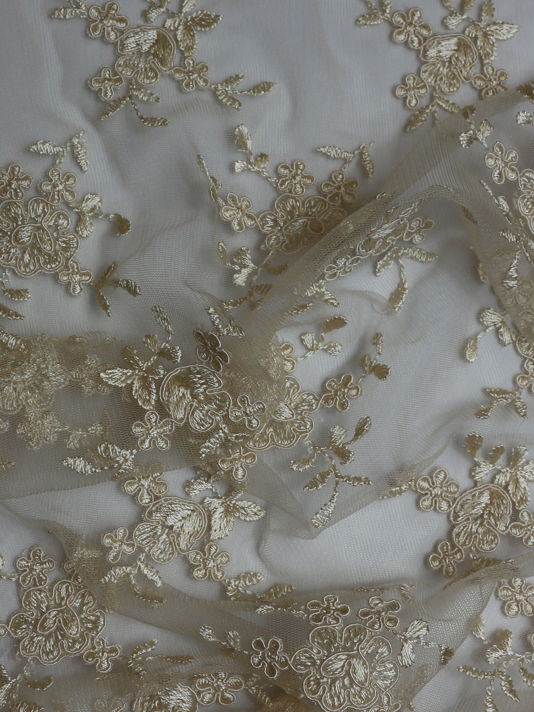 Dentelle Cordon Champagne - Géraldine