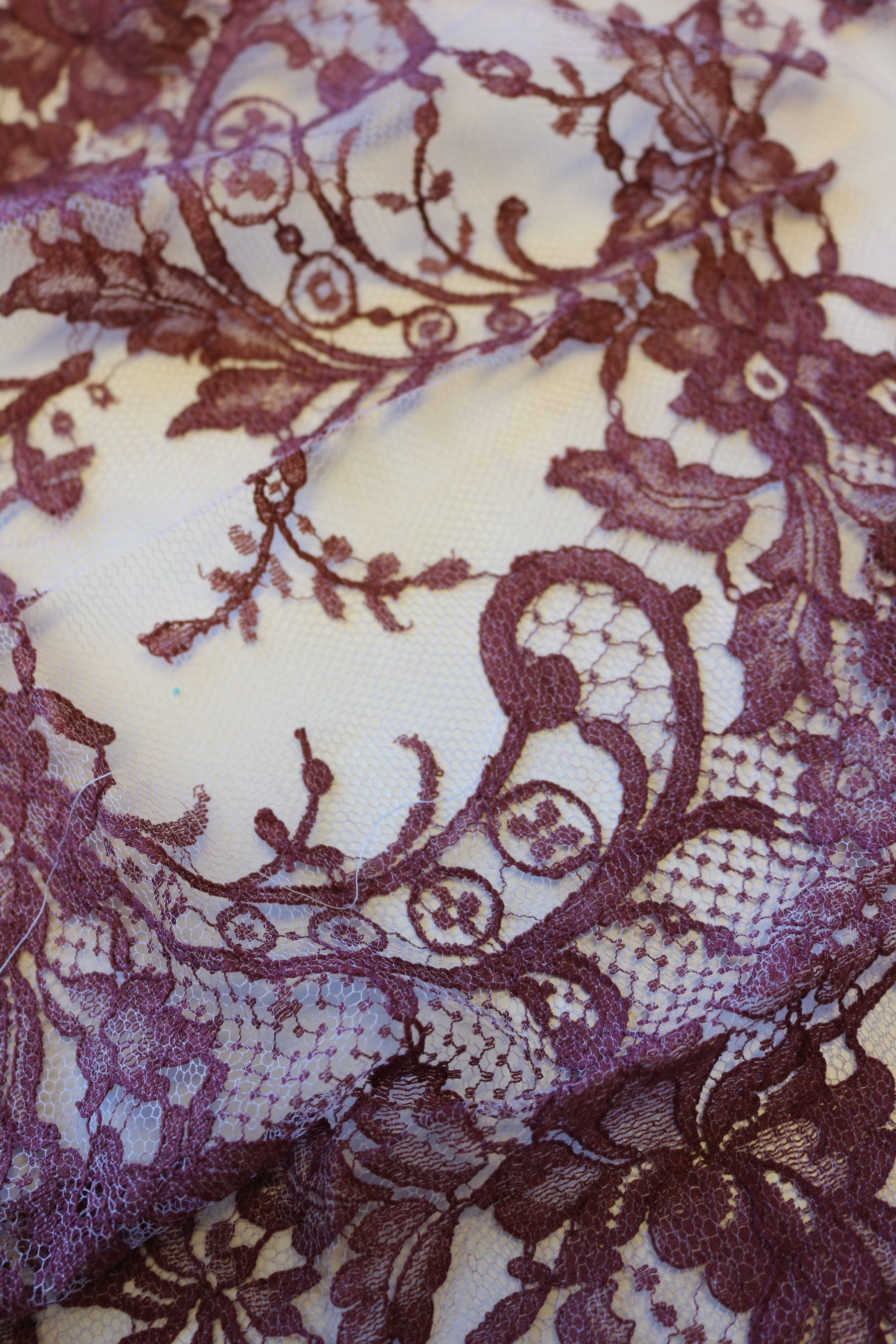 Dentelle prune - Kate.