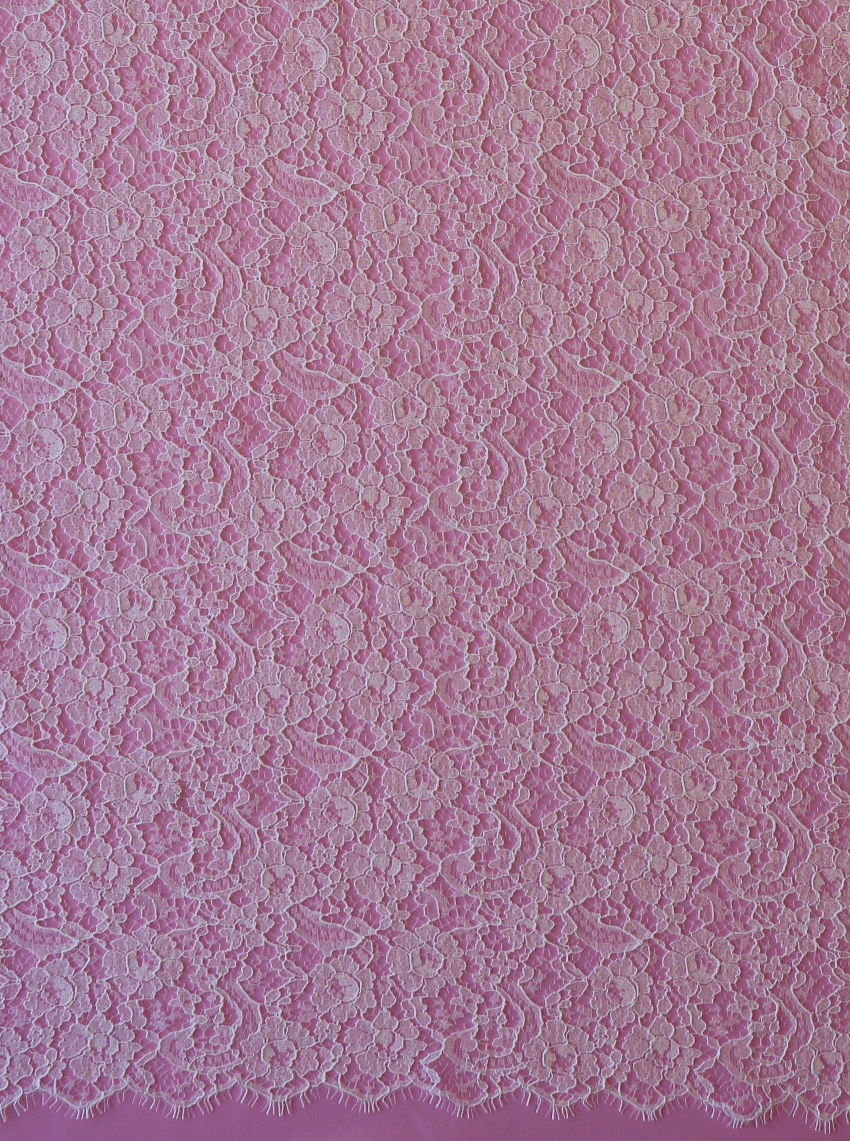Dentelle Chantilly ivoire - Clotilde