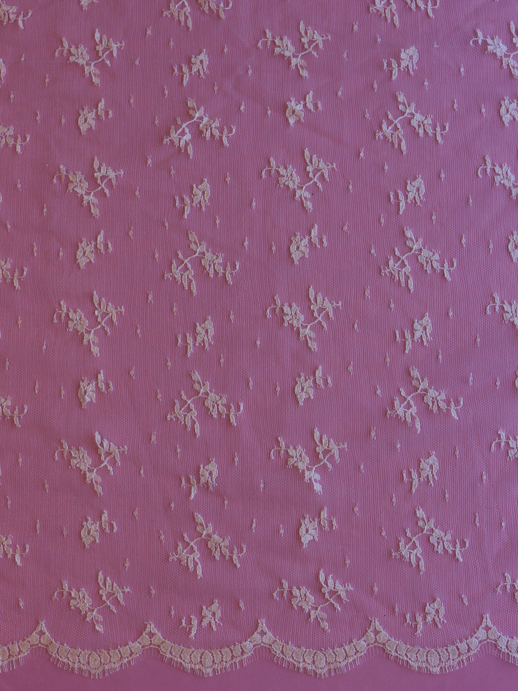 Dentelle Chantilly Ivoire - Pasquelina