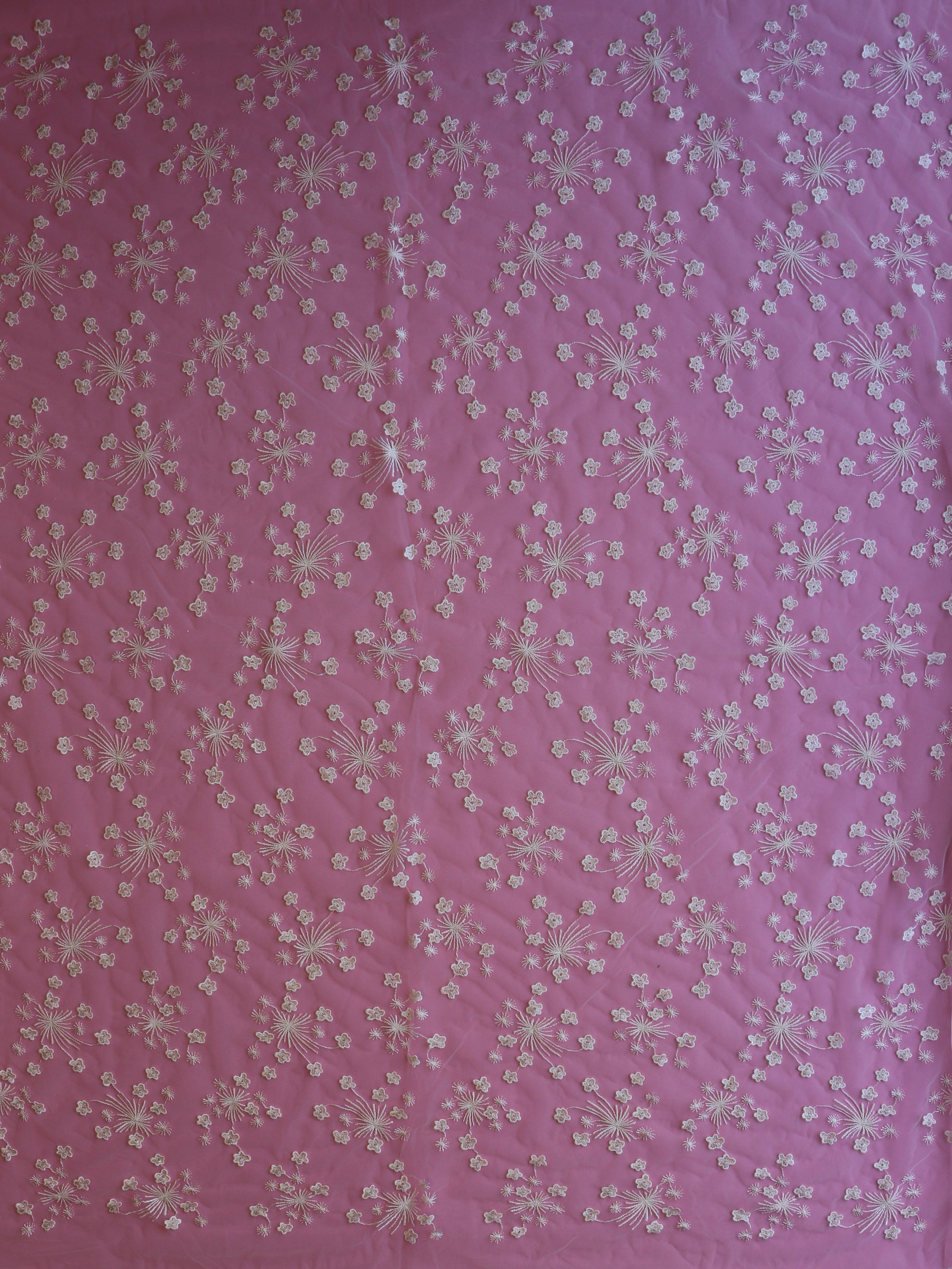 Dentelle brodée ivoire - Pomme