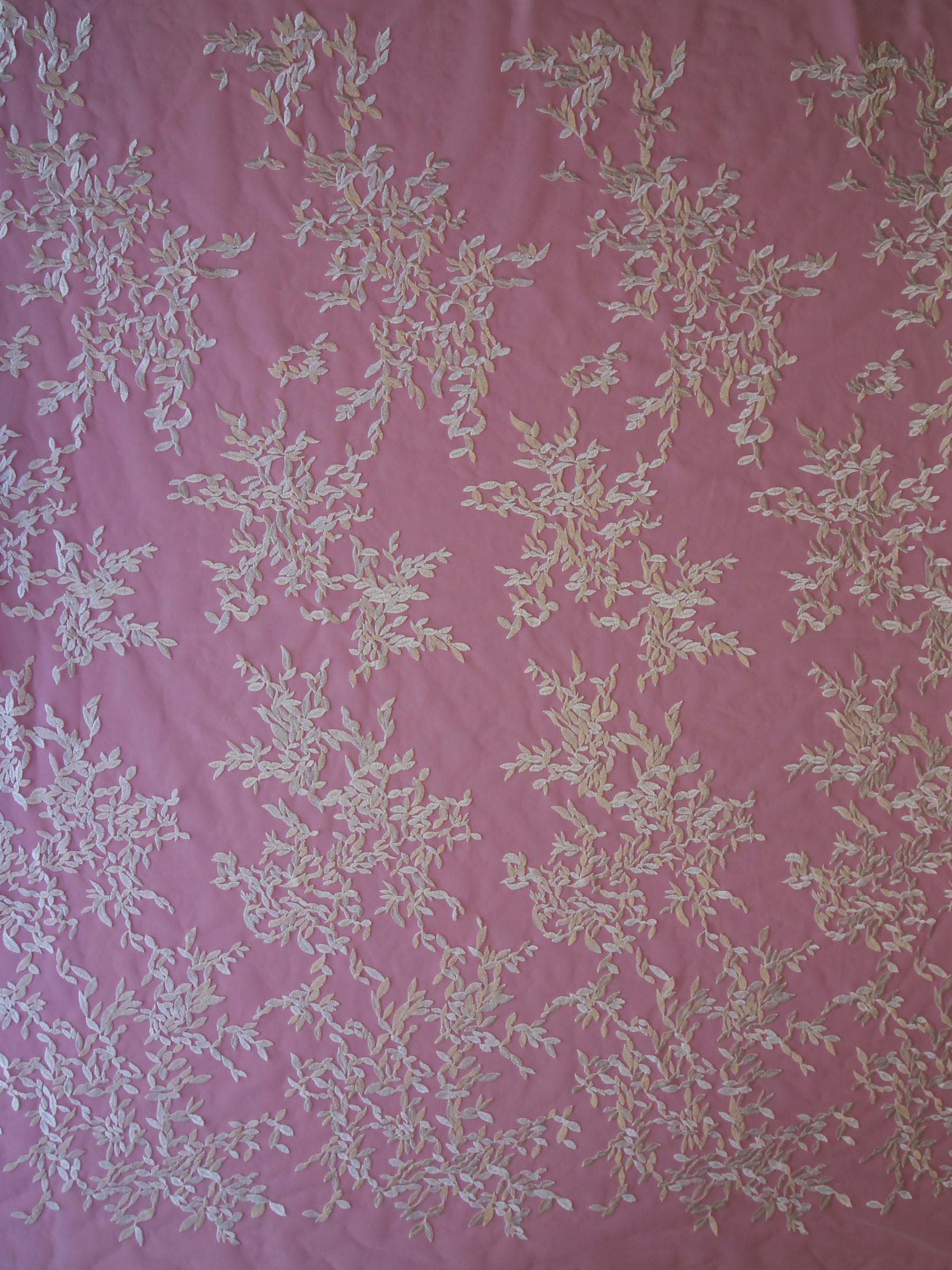 Dentelle Brodée Ivoire - Talia