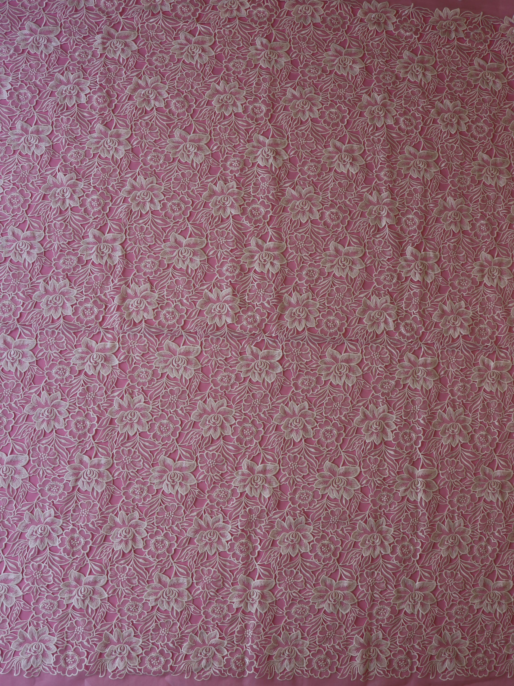 Dentelle florale ivoire - Hermosa