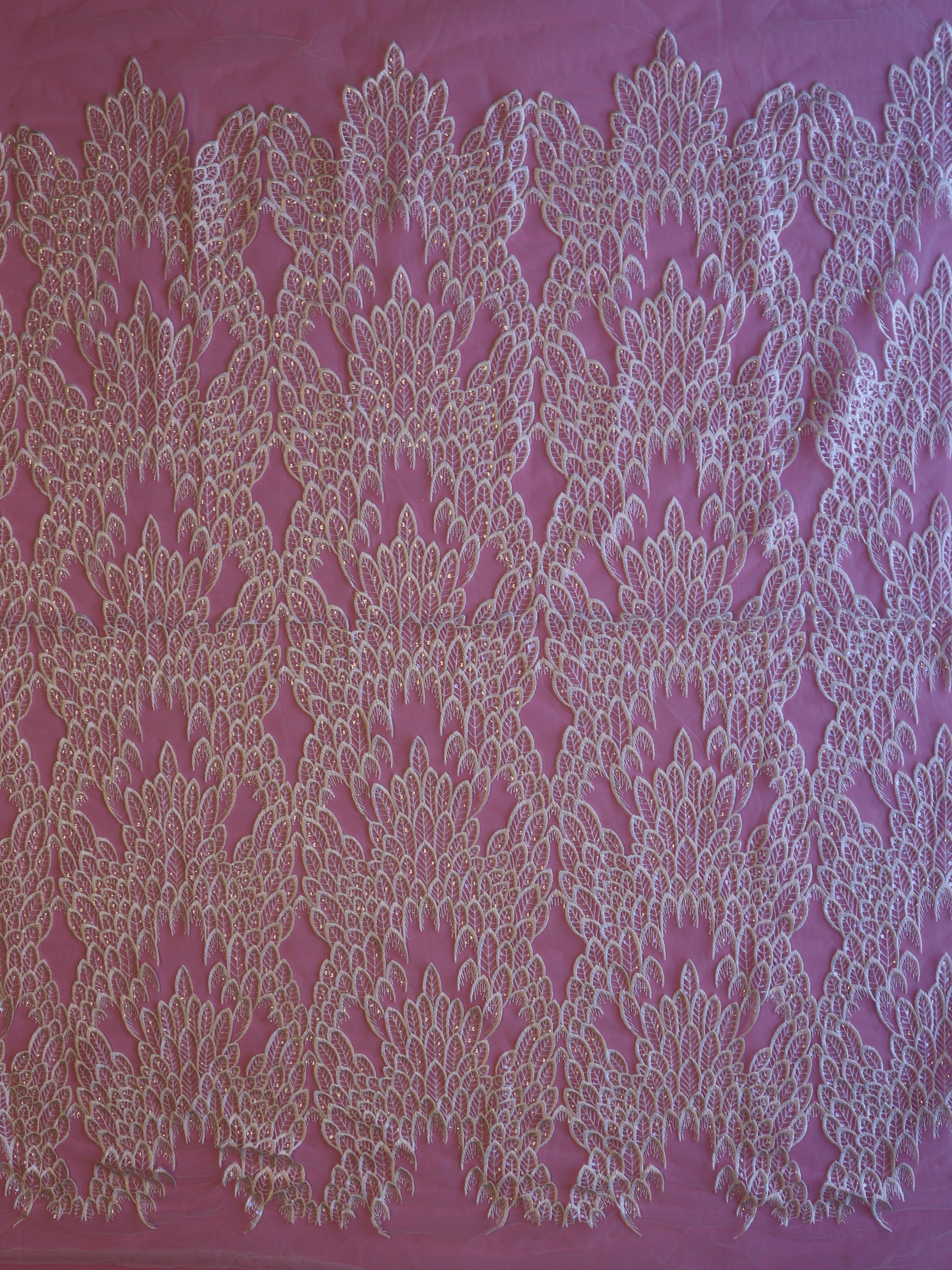 Dentelle Brodée Ivoire - Hilaria