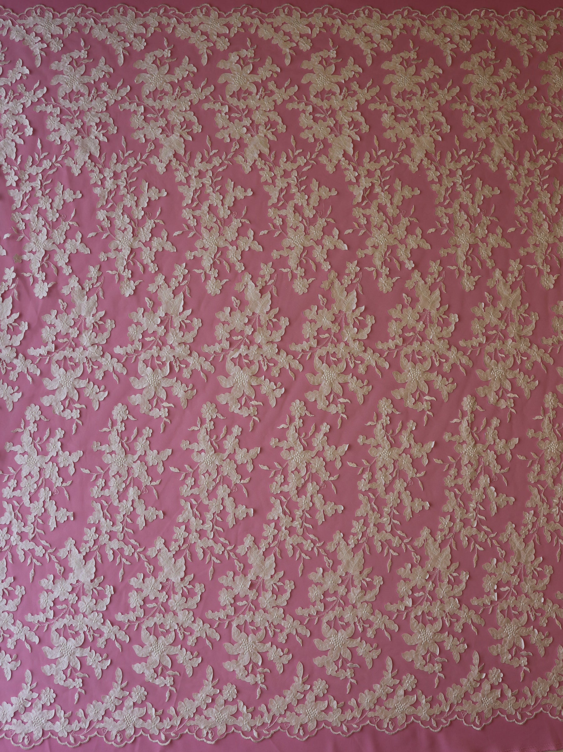 Dentelle laser ivoire - Nasrin