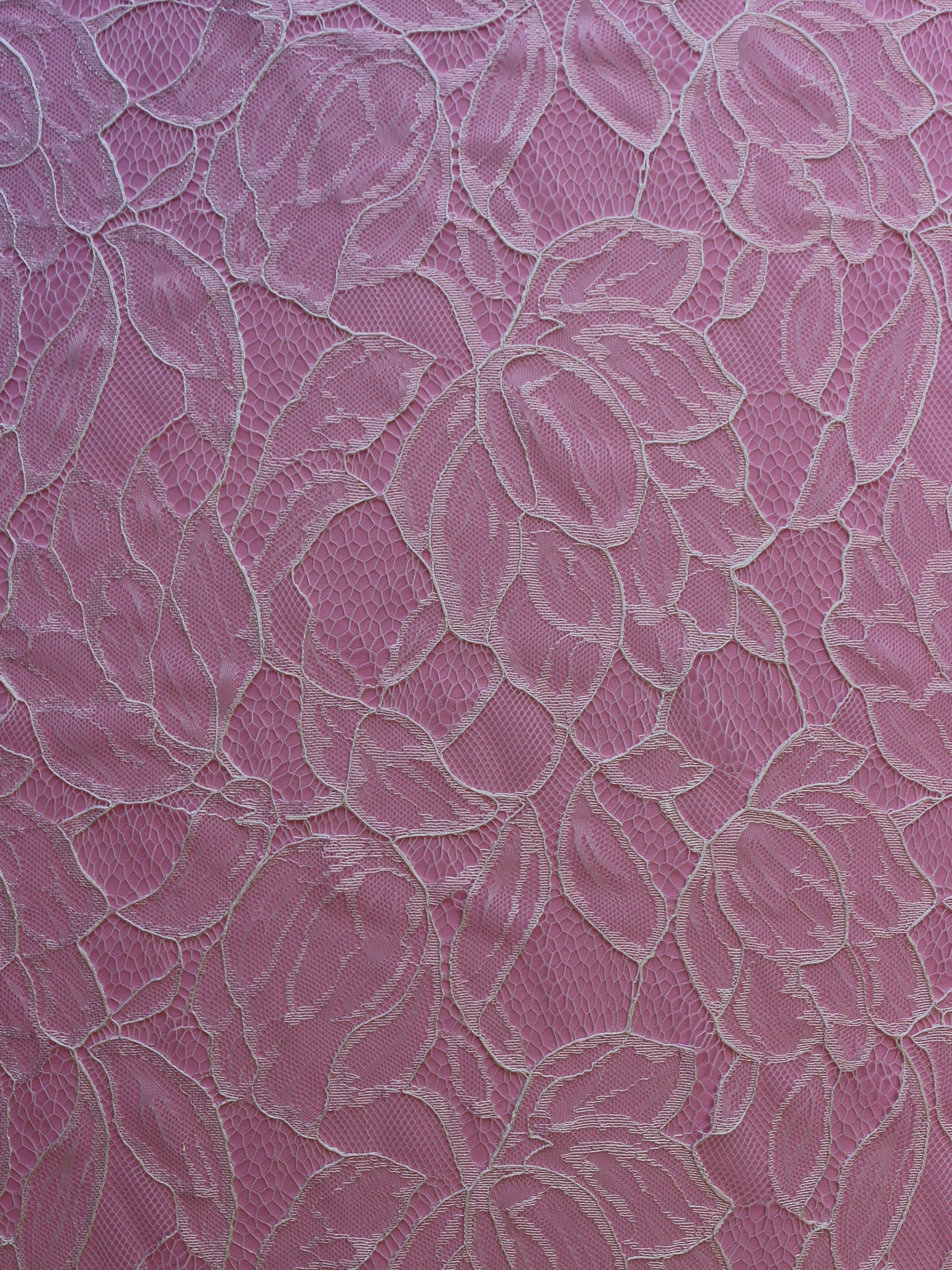 Dentelle Raschel ivoire - Carole
