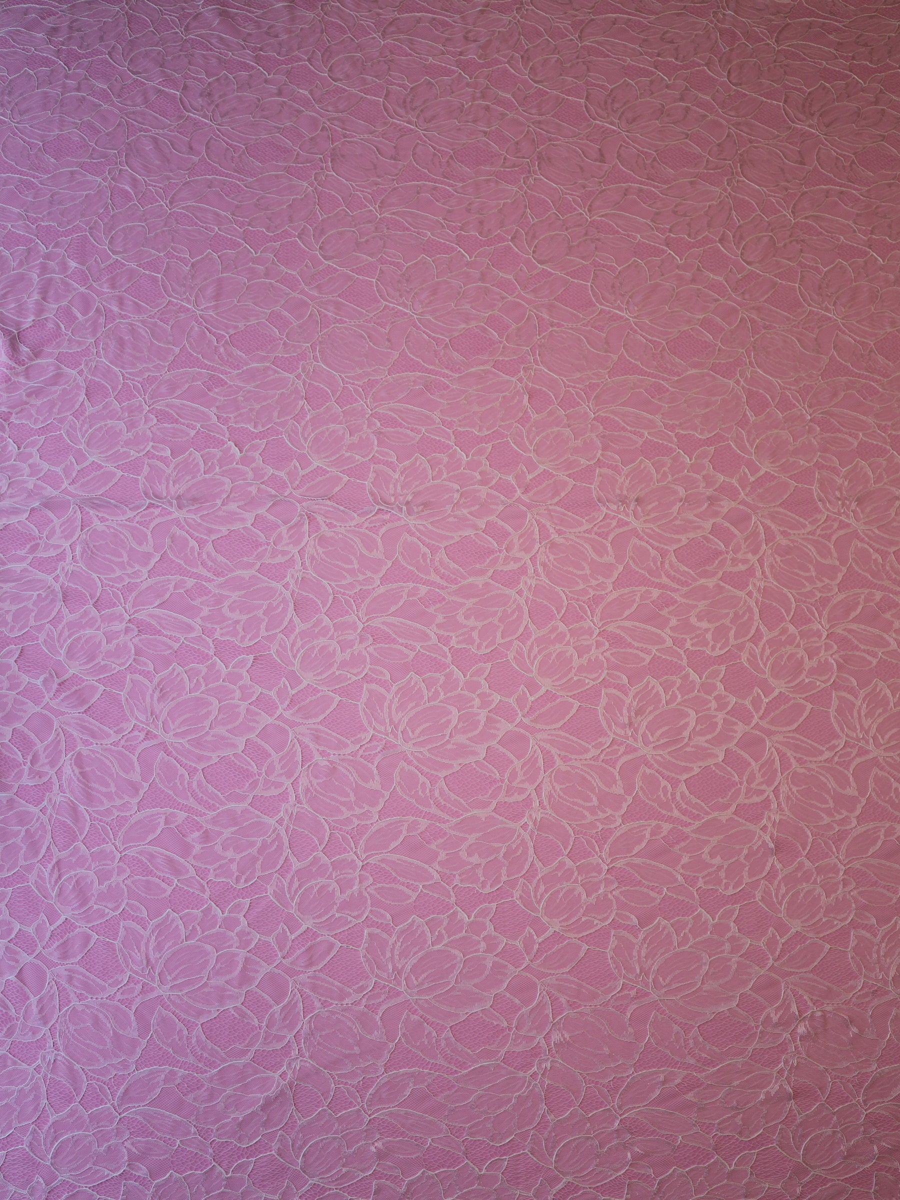 Dentelle Raschel ivoire - Carole