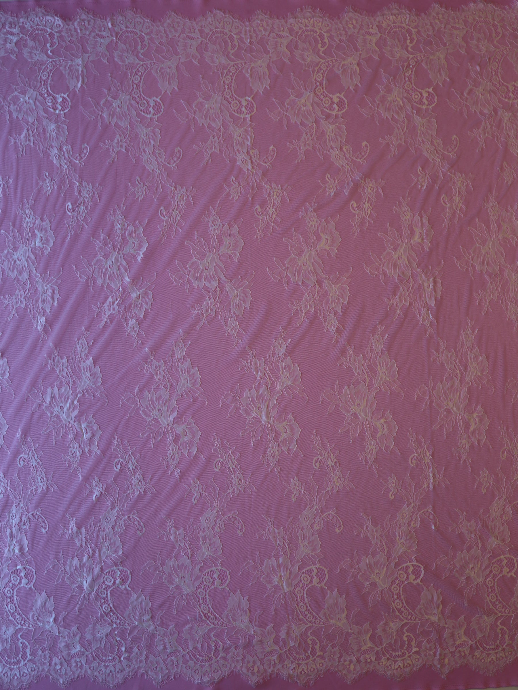 Dentelle Légère Ivoire - Remi