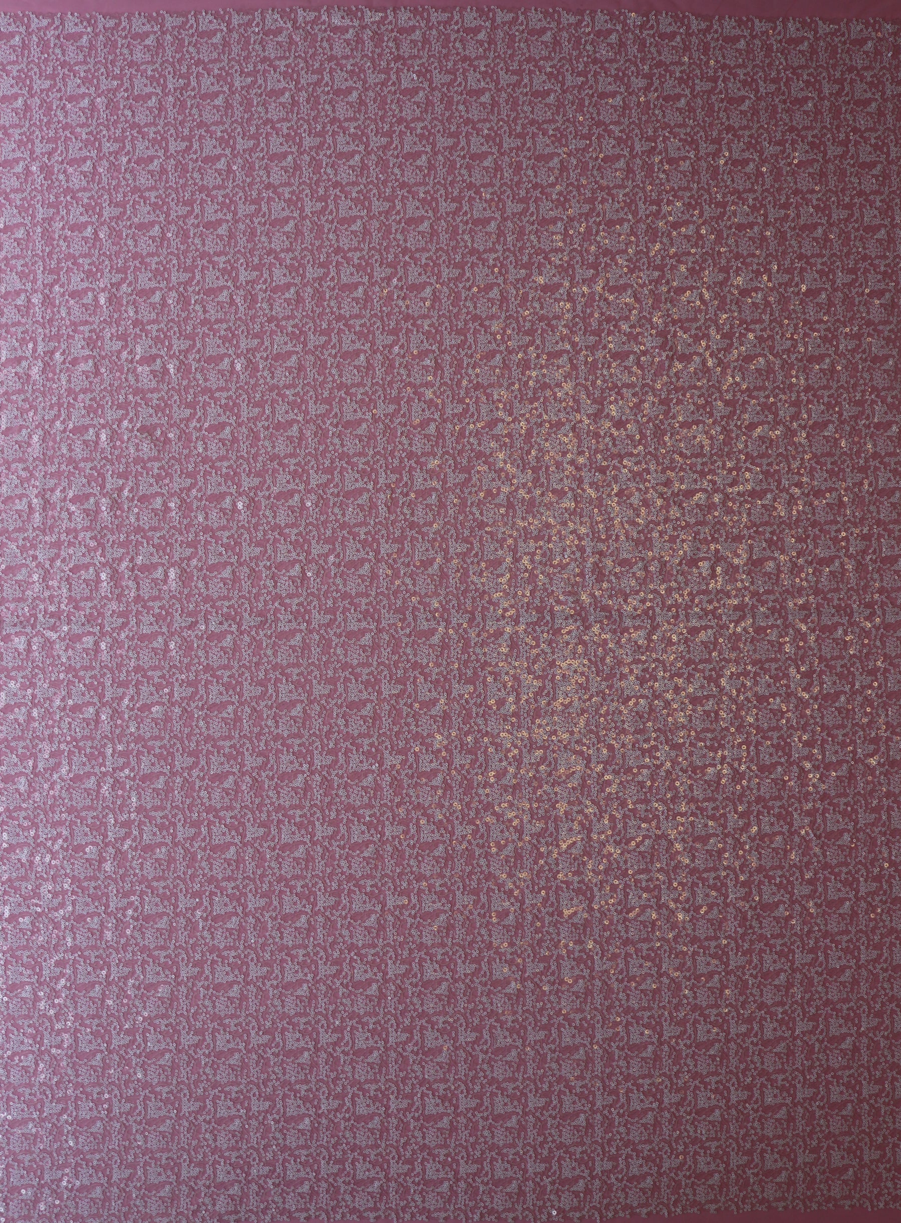Dentelle à paillettes ivoire - Excentricité