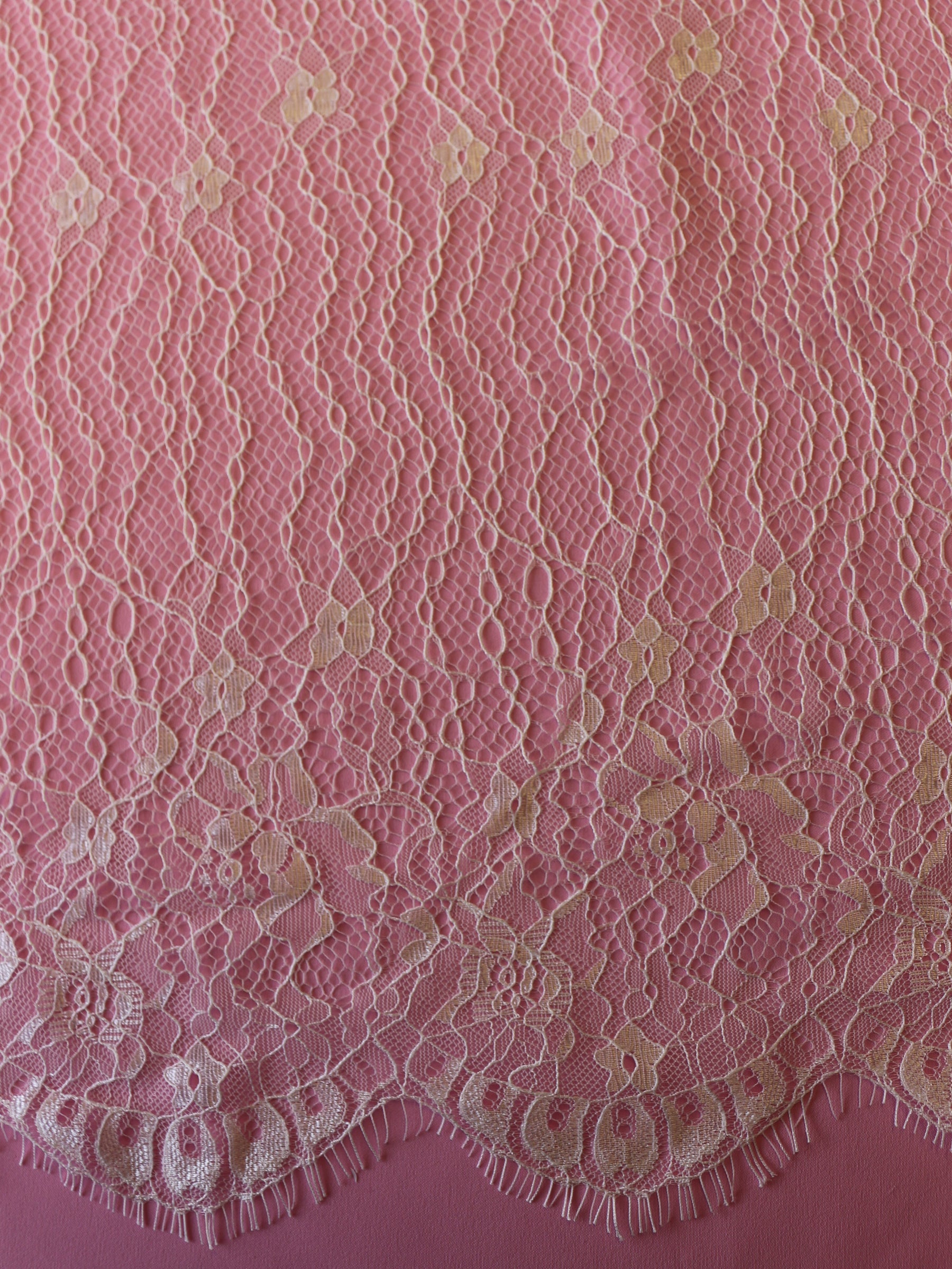 Dentelle Légère Ivoire - Pride