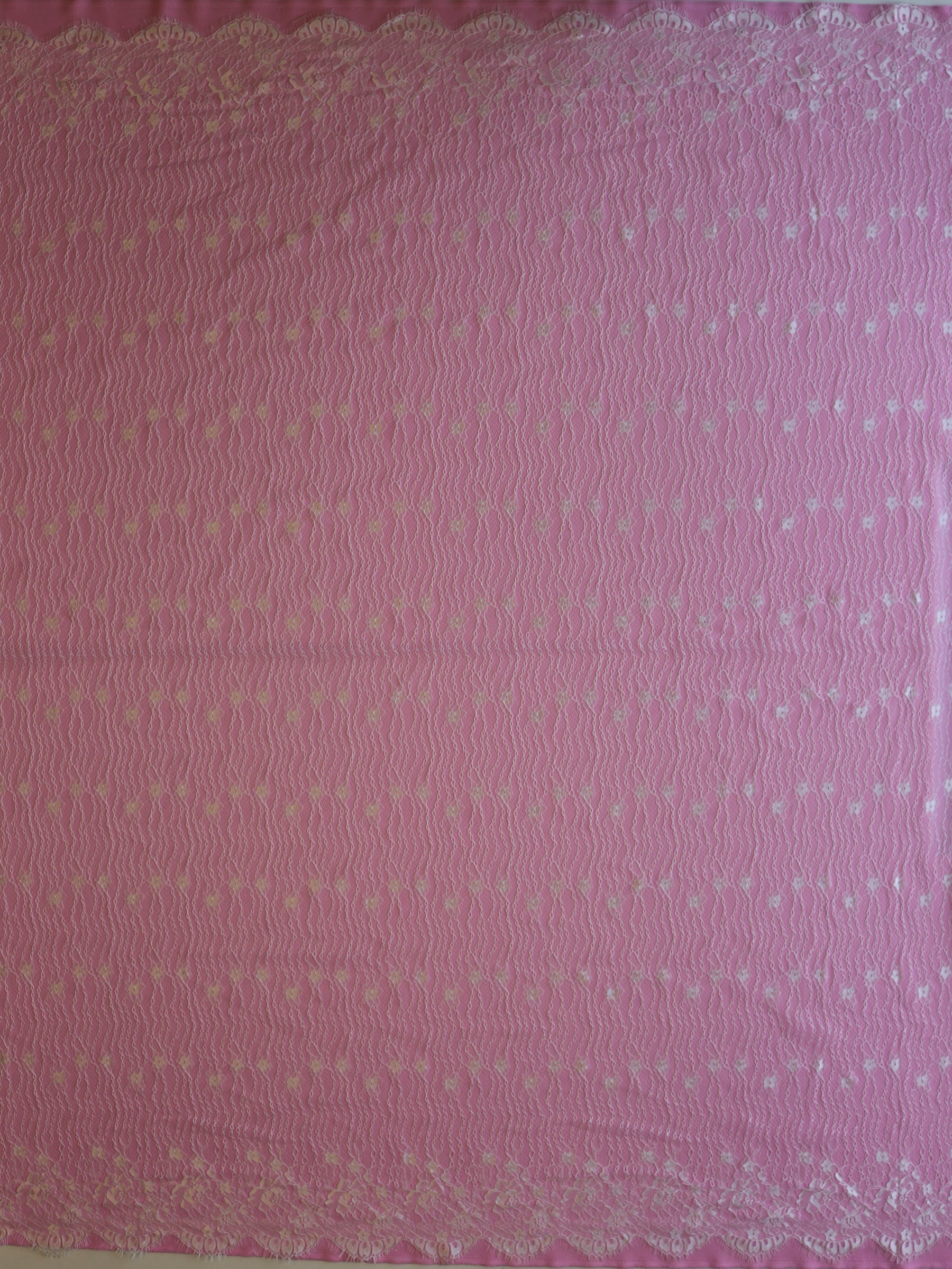 Dentelle Légère Ivoire - Pride