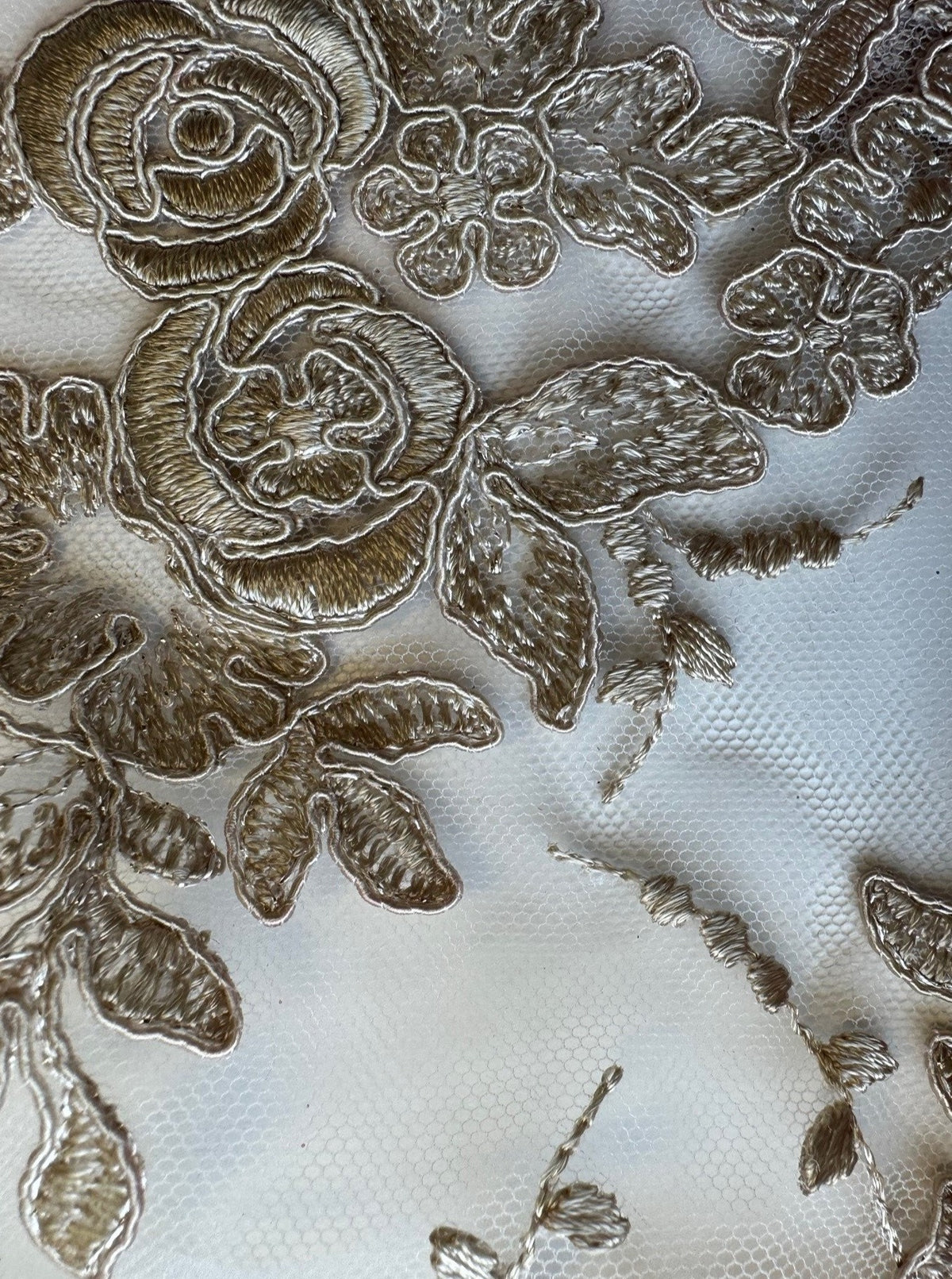 Dentelle beige - Maria.