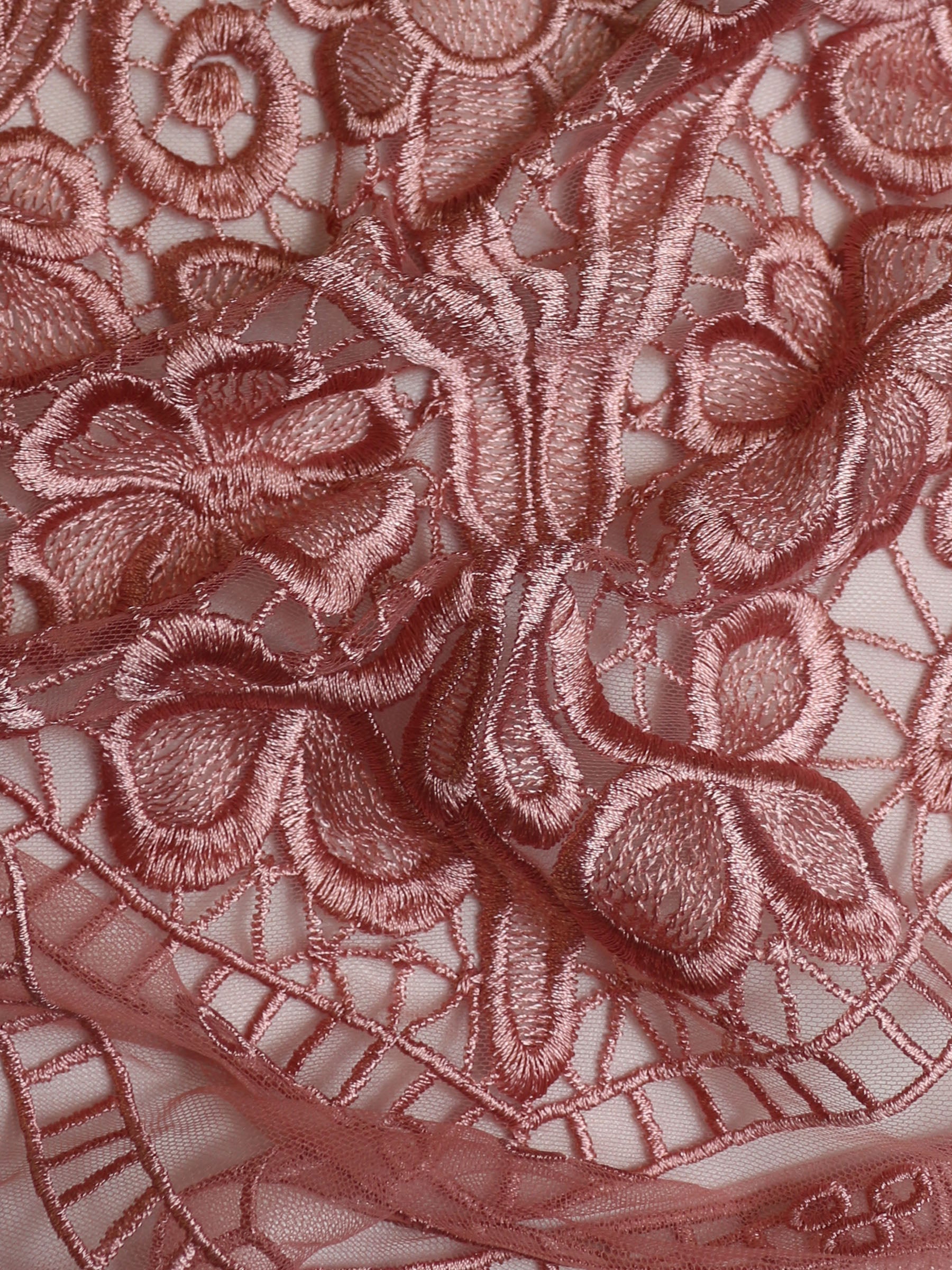 Dentelle brodée rose pâle - Nyla