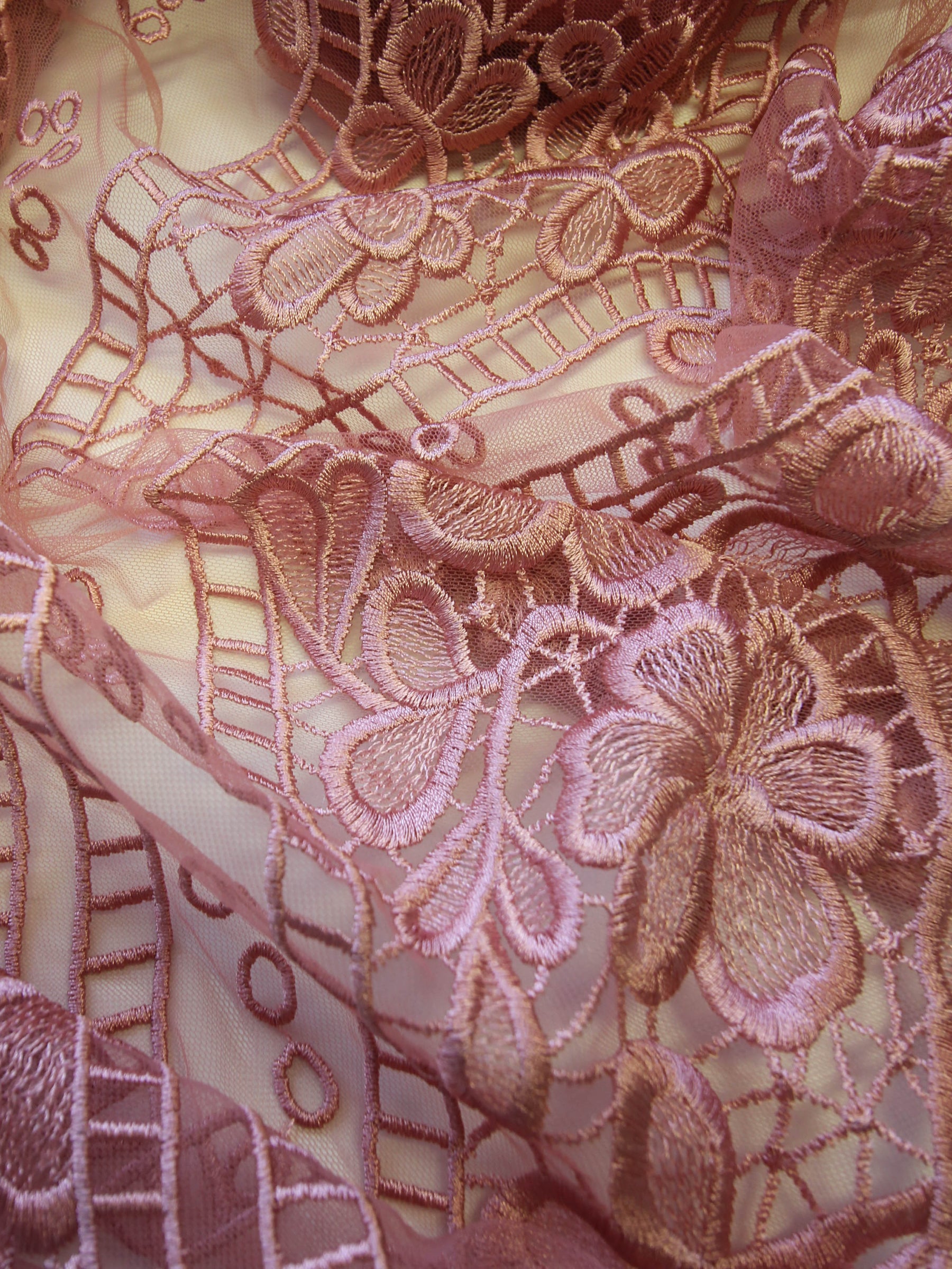 Dentelle brodée rose pâle - Nyla